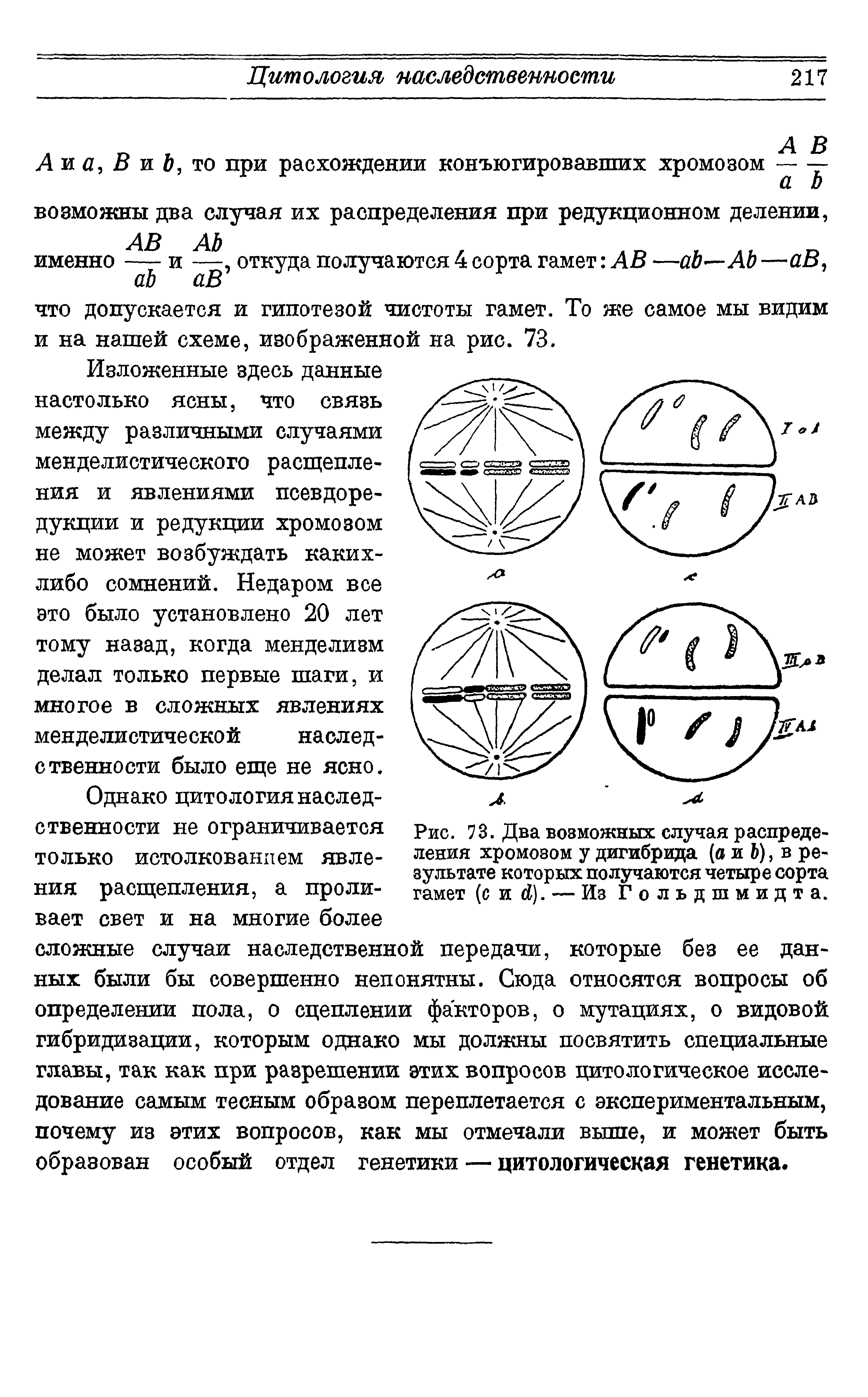 Рис. 73. Два возможных случая распределения хромозом у дигибрида (а и Ь), в результате которых получаются четыре сорта гамет (с и й). — Из Гольдшмидта.