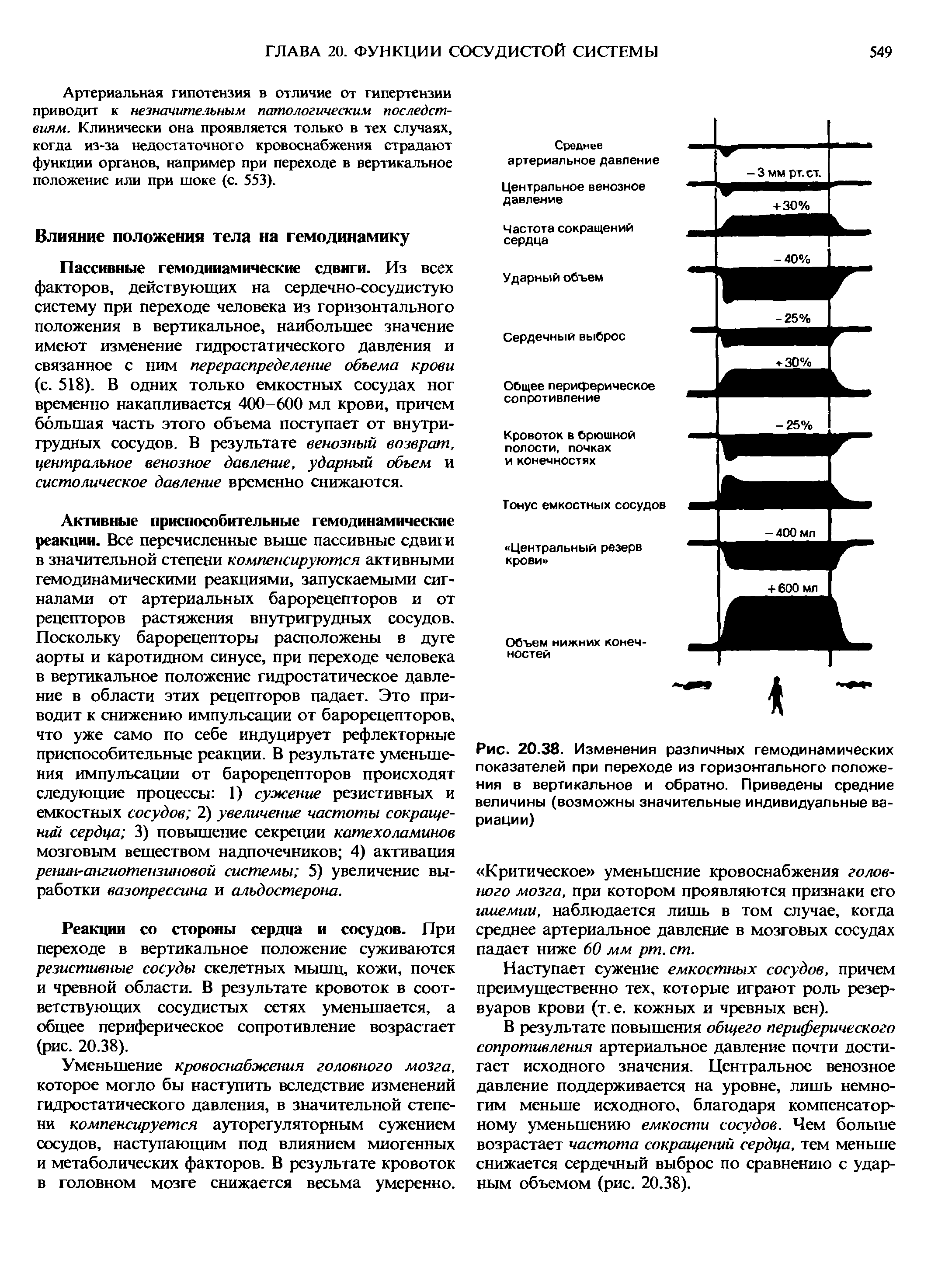 Рис. 20.38. Изменения различных гемодинамических показателей при переходе из горизонтального положения в вертикальное и обратно. Приведены средние величины (возможны значительные индивидуальные вариации)...