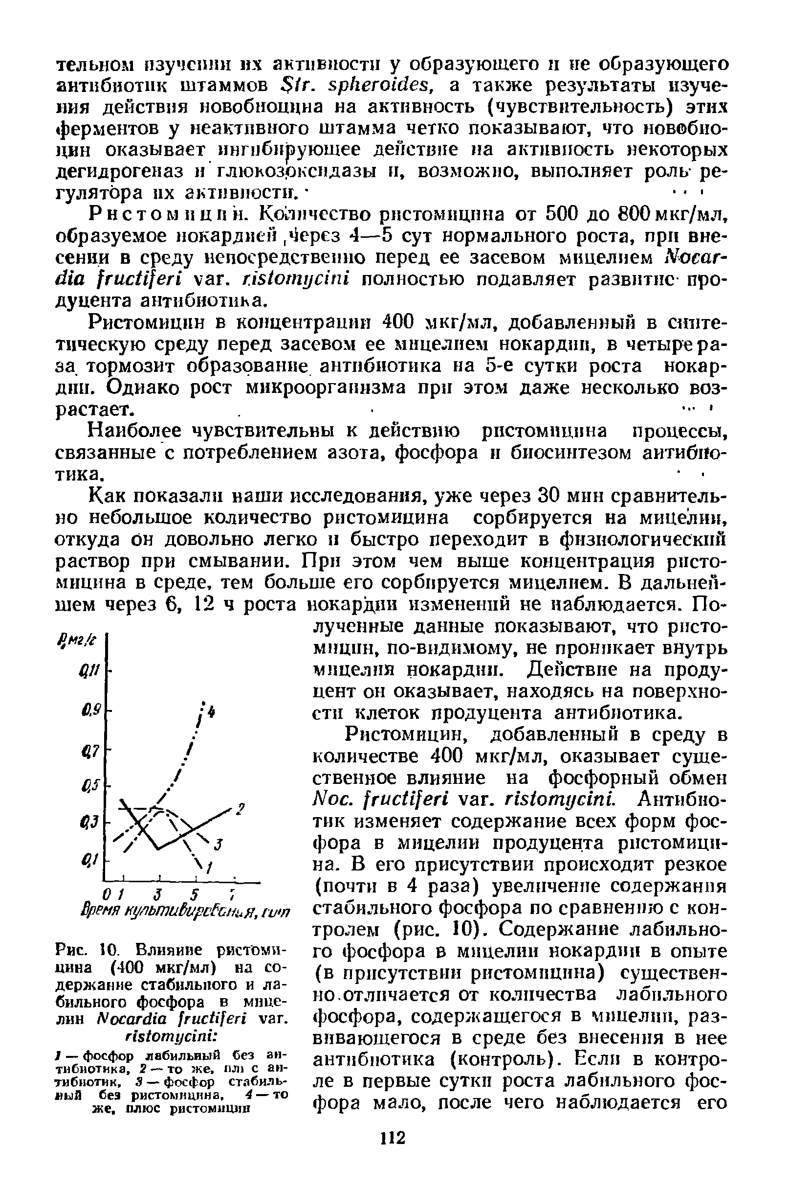 Рис. 10. Влияние ристомицина (400 мкг/мл) на содержание стабильного и лабильного фосфора в мицелии ЫосапИа гисЩег1 хат.