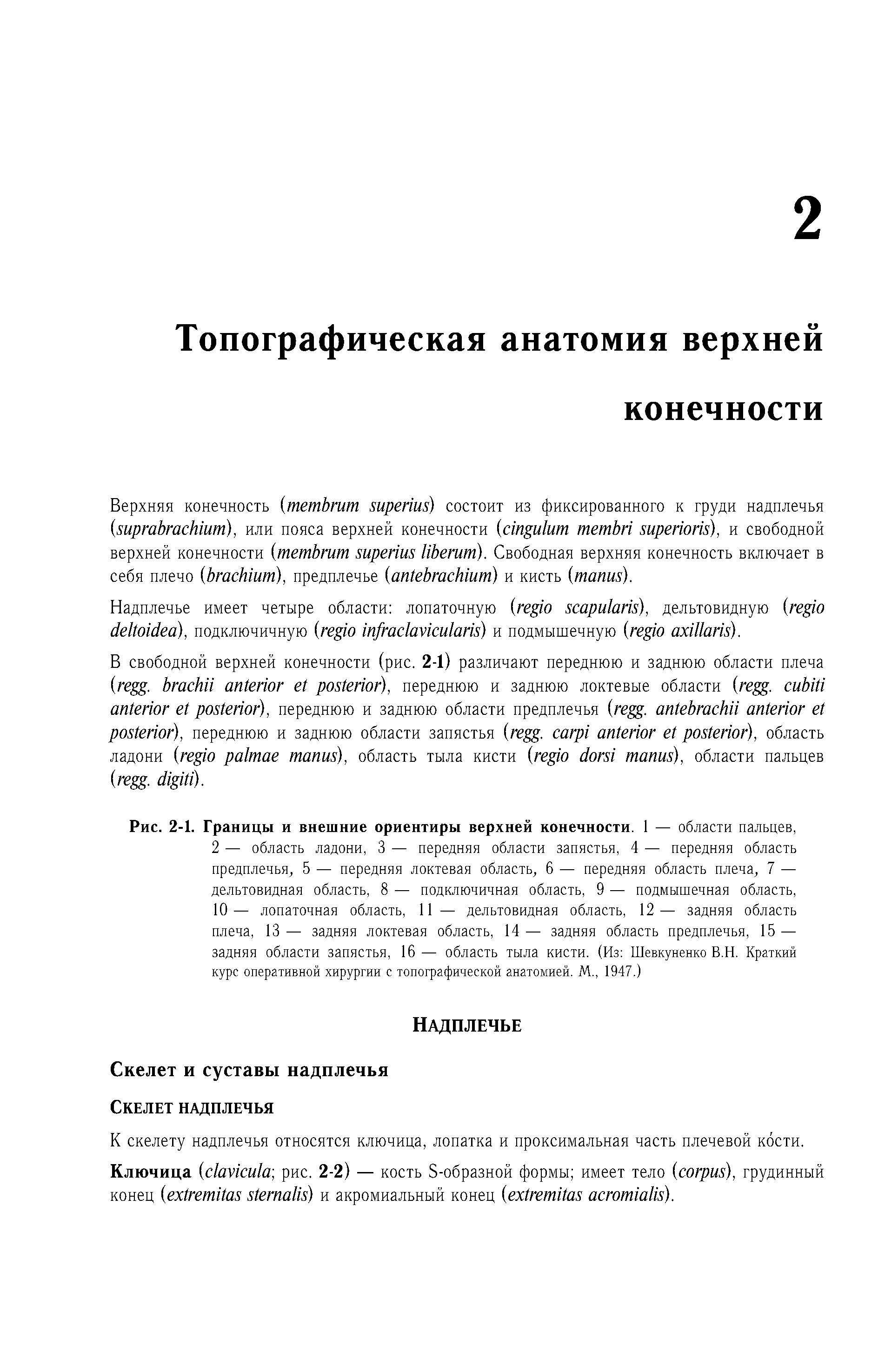 Рис. 2-1. Границы и внешние ориентиры верхней конечности. 1 — области пальцев,...