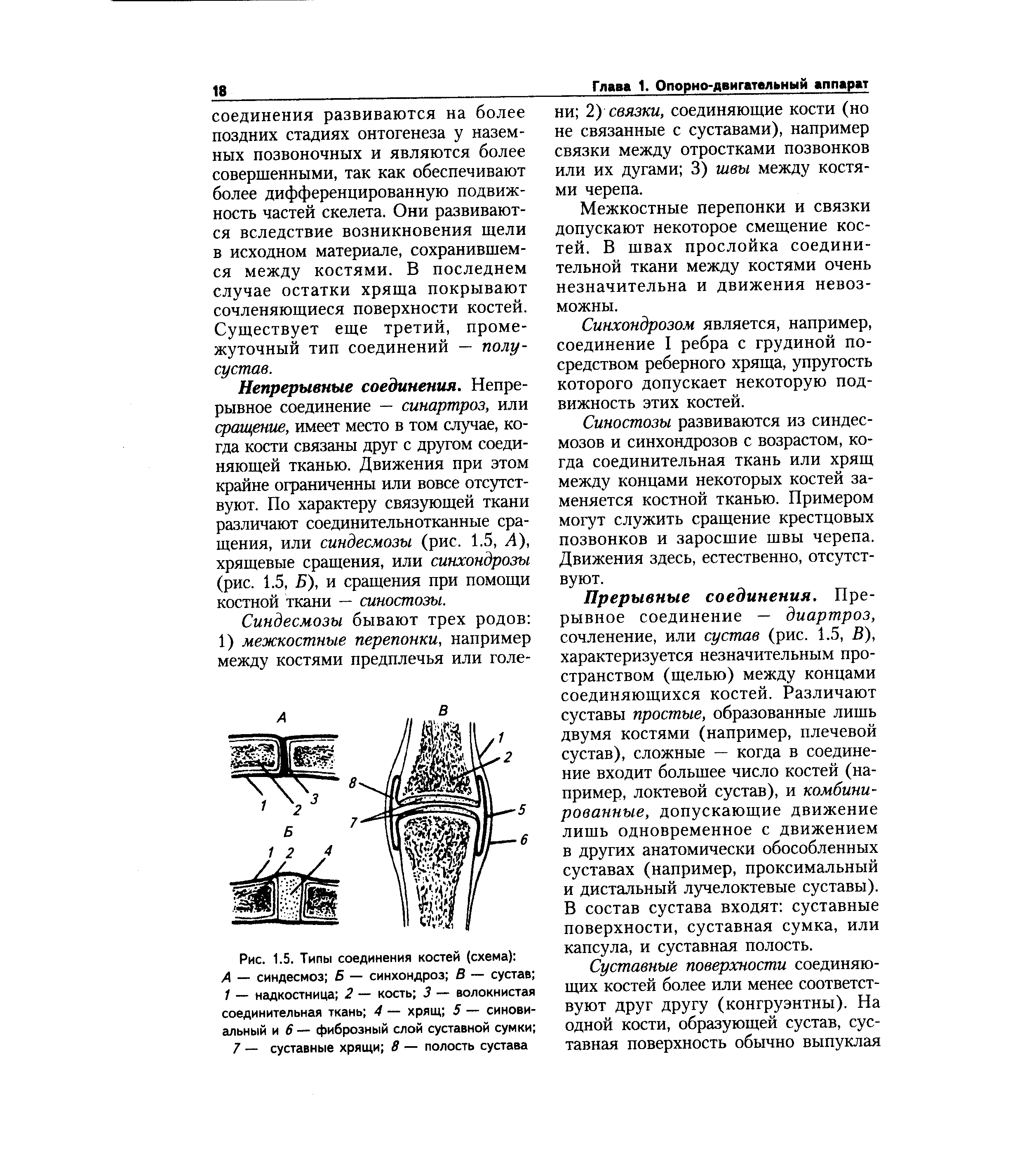 Рис. 1.5. Типы соединения костей (схема) А — синдесмоз Б — синхондроз В — сустав / — надкостница 2 — кость 3 — волокнистая соединительная ткань 4 — хрящ 5 — синовиальный и 6 — фиброзный слой суставной сумки ...