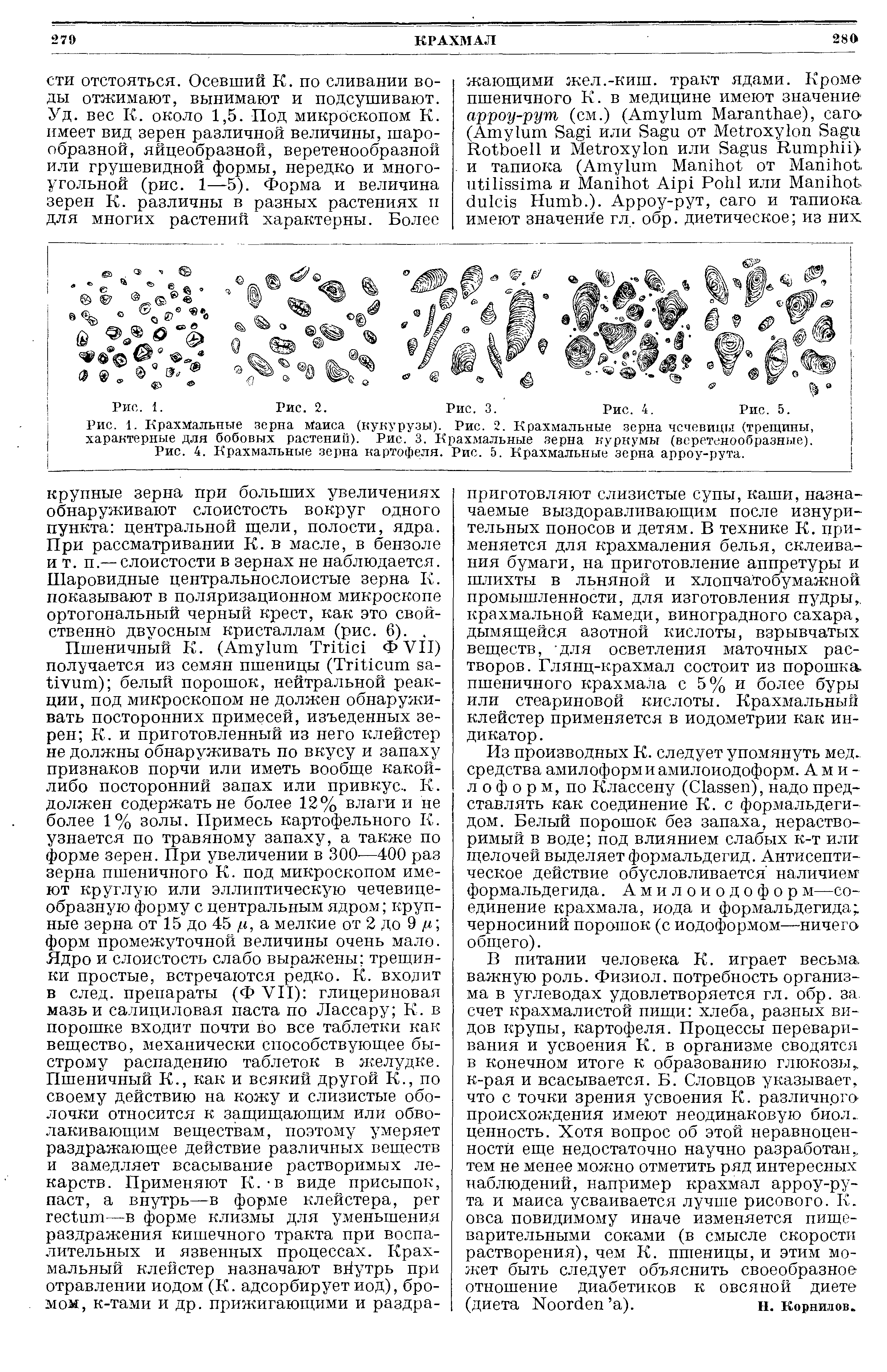 Рис. 4. Крахмальные зерна картофеля. Рис. 5. Крахмальные зерна арроу-рута.