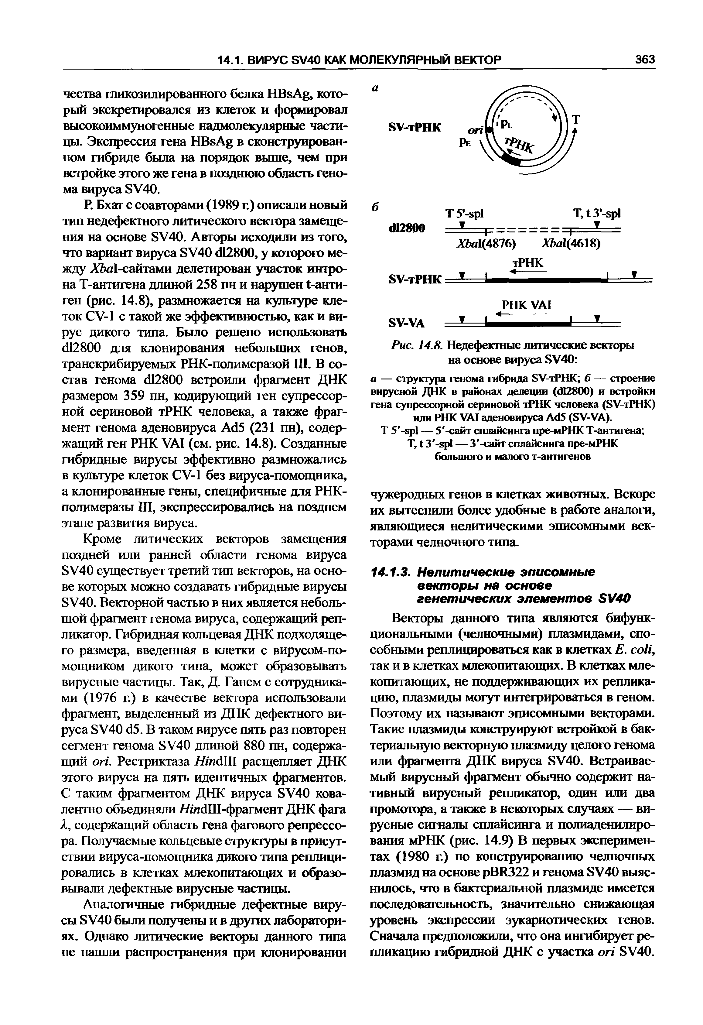 Рис. 14.8. Недефекгные литические векторы на основе вируса SV4O ...