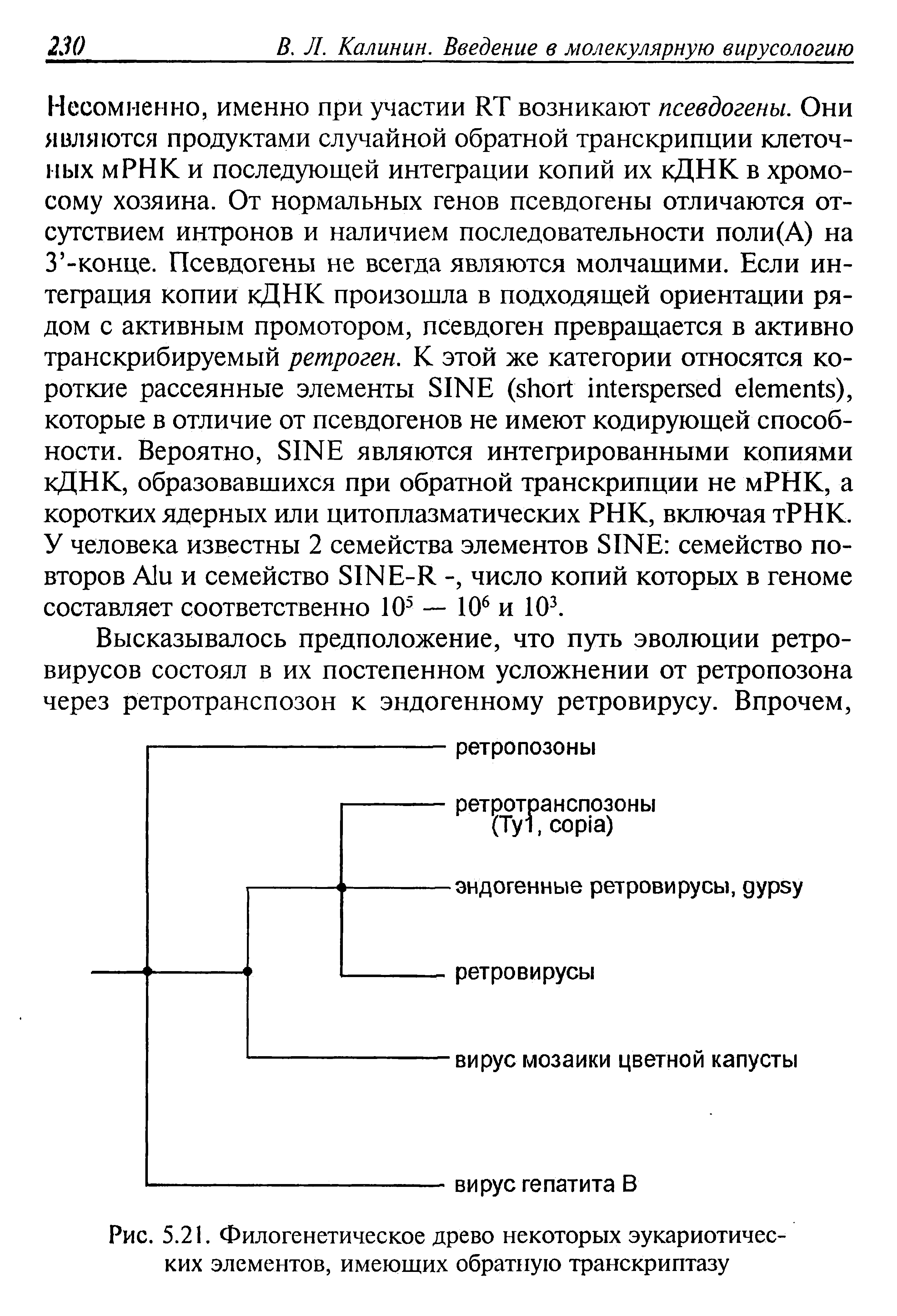 Рис. 5.21. Филогенетическое древо некоторых эукариотических элементов, имеющих обратную транскриптазу...