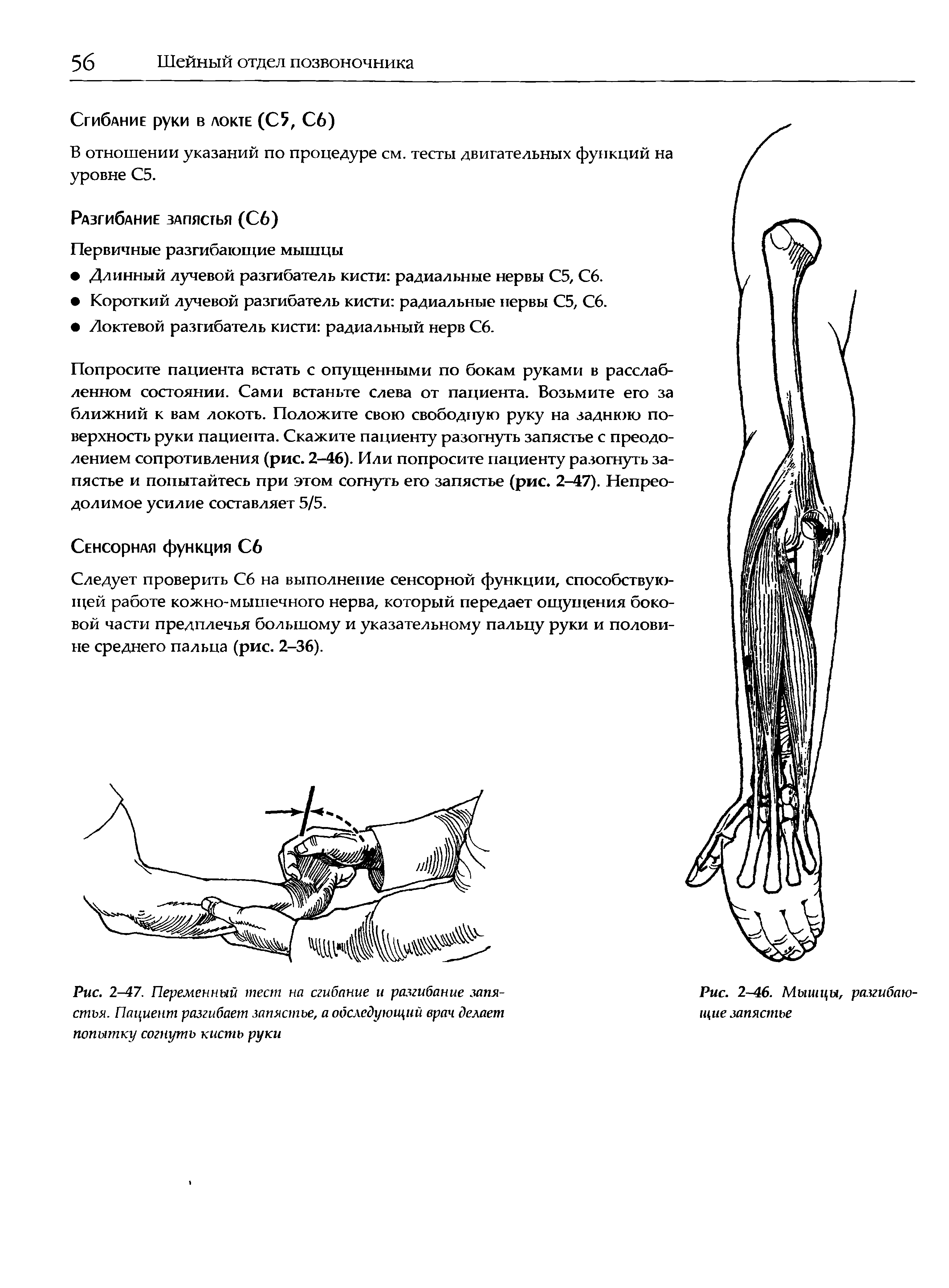 Рис. 2-47. Переменный тест на сгибание и разгибание запястья. Пациент разгибает запястье, а обследующий врач делает попытку согнуть кисть руки...