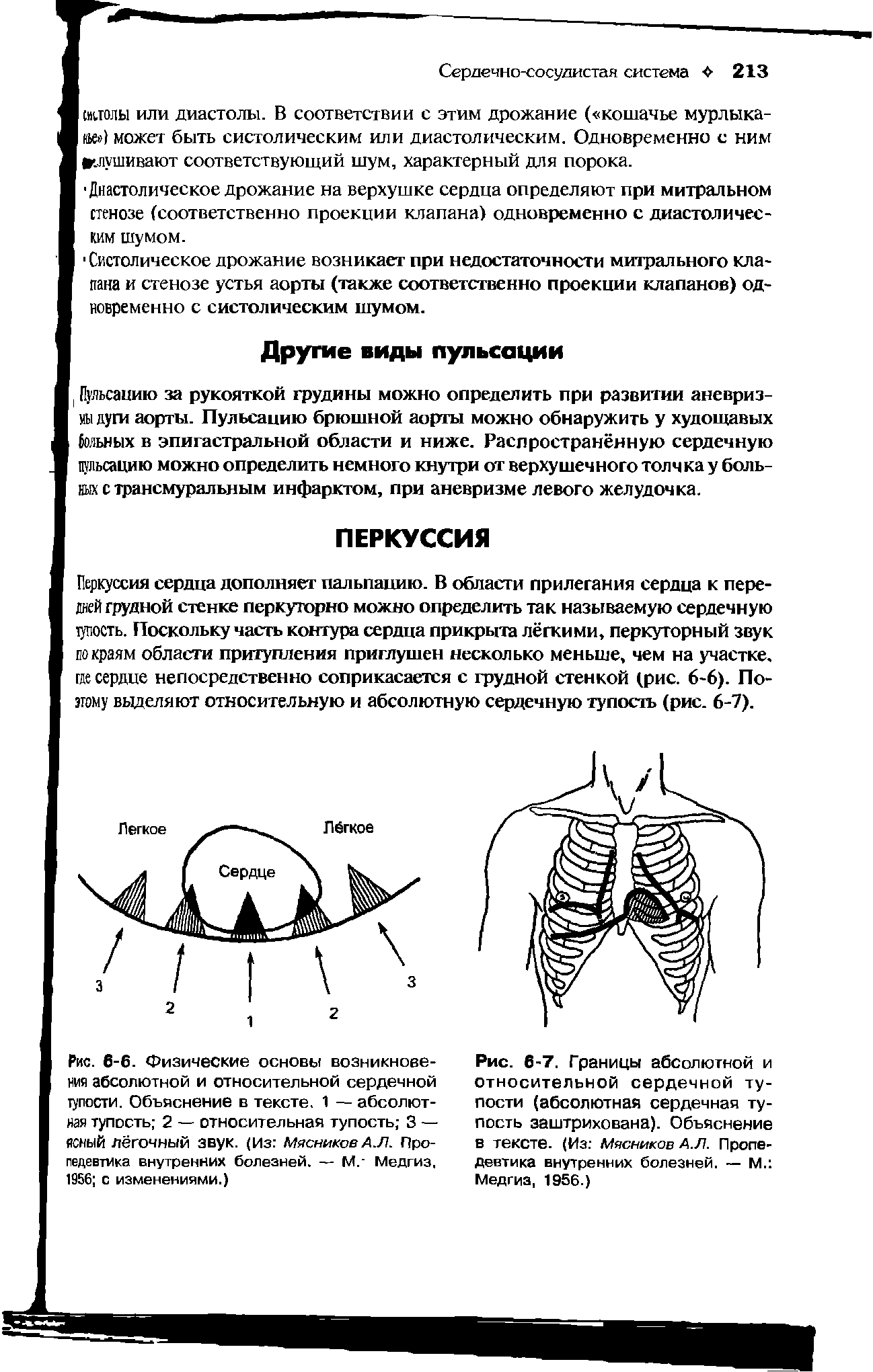 Рис. 6-7. Границы абсолютной и относительной сердечной тупости (абсолютная сердечная тупость заштрихована). Объяснение В тексте. (Из Мясников А.Л. Пропедевтика внутренних болезней. — М. Медгиз, 1956.)...