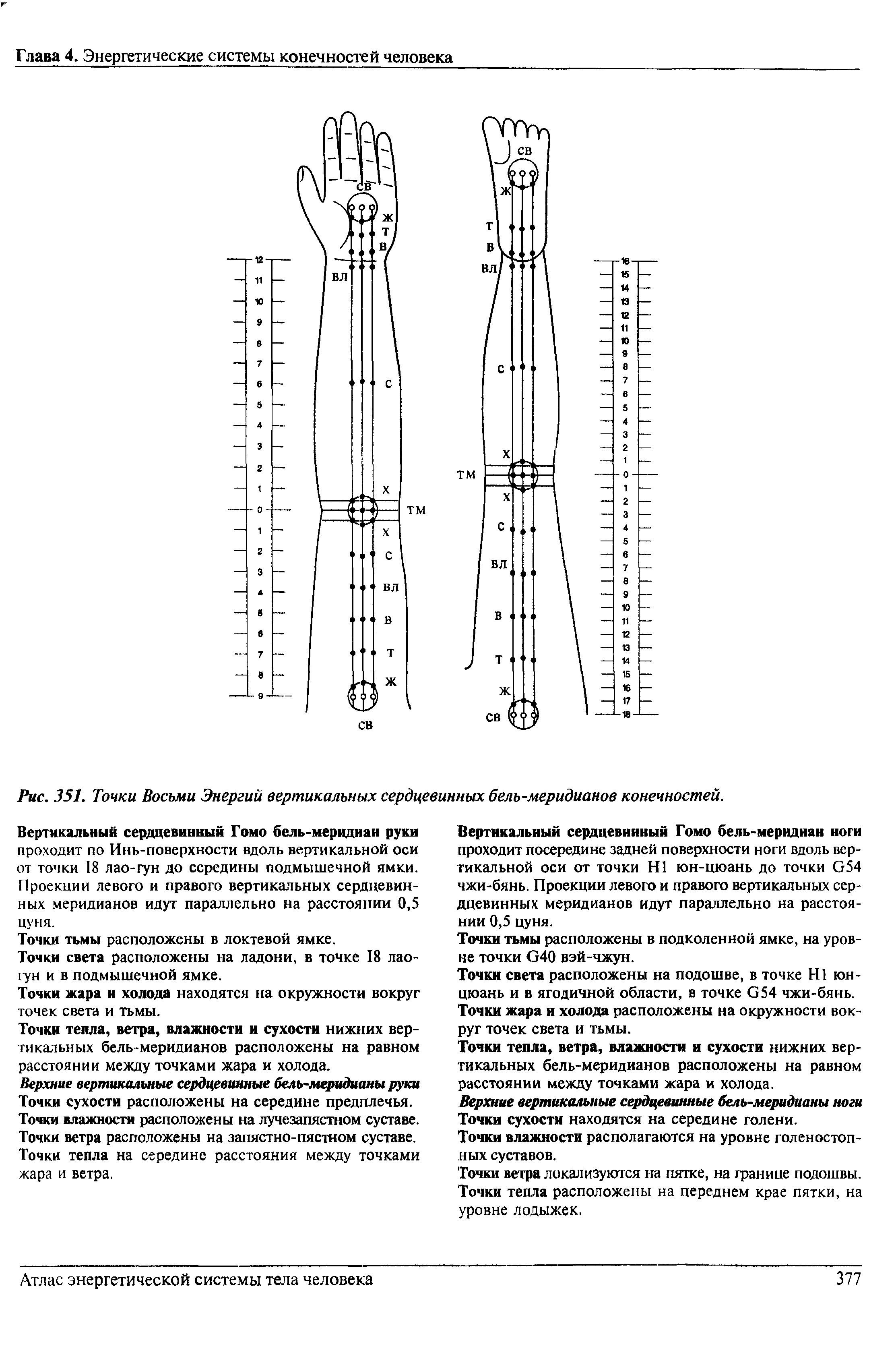 Рис. 351. Точки Восьми Энергий вертикальных сердцевинных бель-меридианов конечностей.