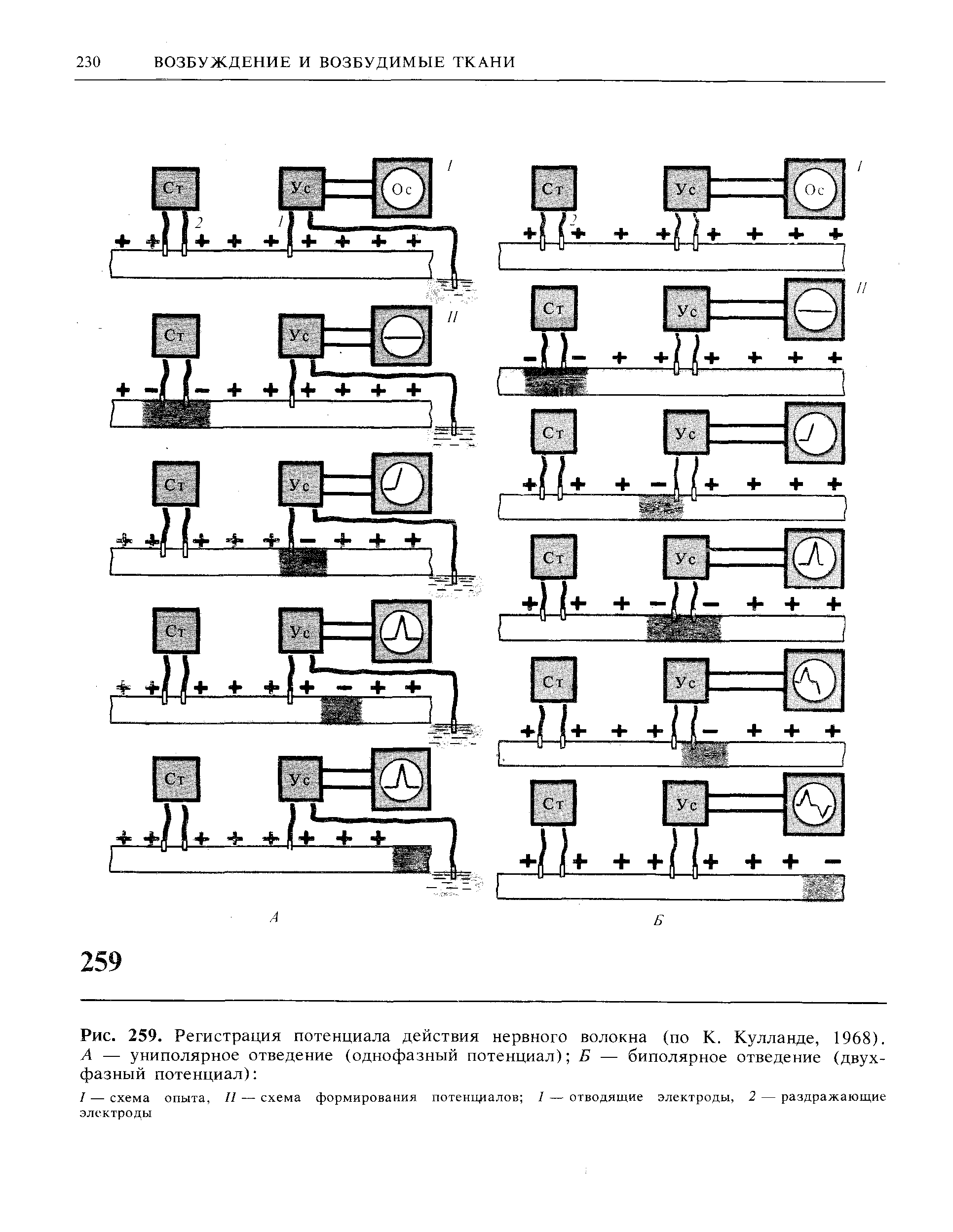 Рис. 259. Регистрация потенциала действия нервного волокна (по К. Кулланде, 1968). А — униполярное отведение (однофазный потенциал) Б — биполярное отведение (двухфазный потенциал) ...