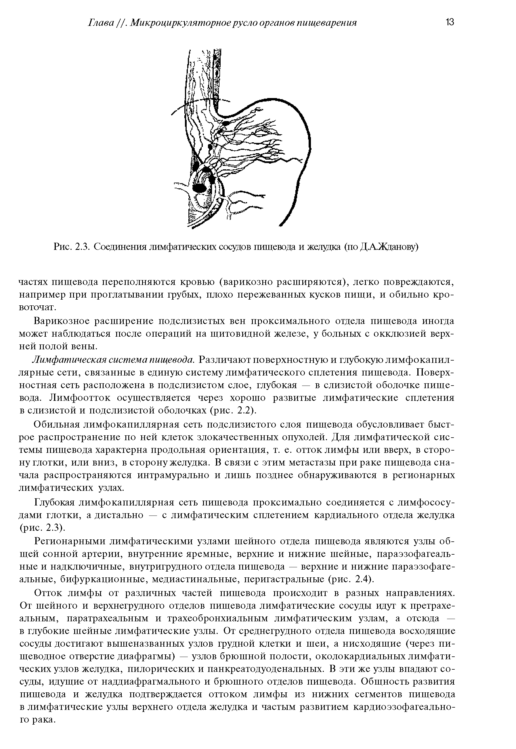 Рис. 2.3. Соединения лимфатических сосудов пищевода и желудка (по ДАЖданову)...