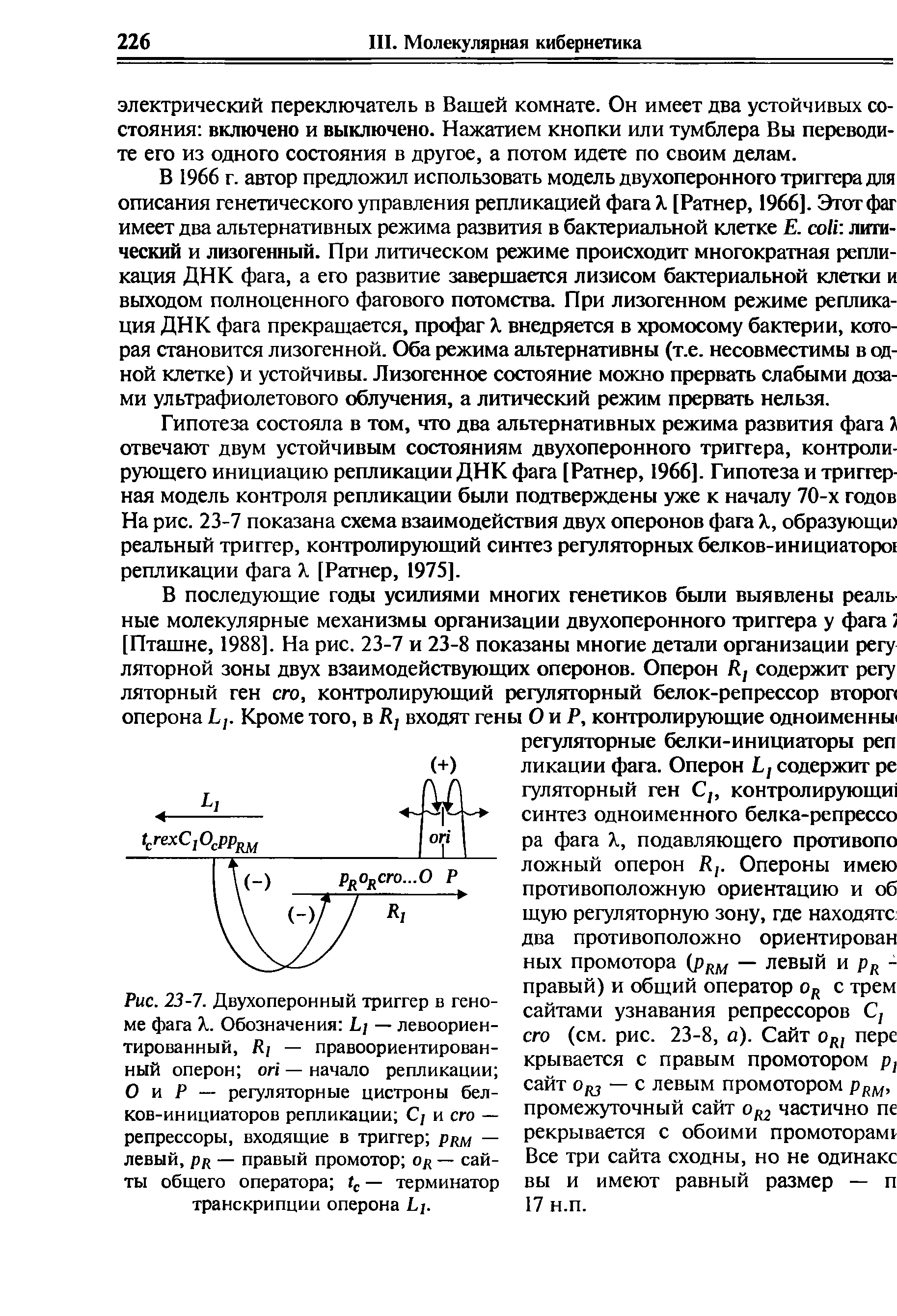 Рис. 23-7. Двухоперонный триггер в геноме фага X. Обозначения Ь] — левоориентированный, К/ — правоориентированный оперон оп — начало репликации О и Р — регуляторные цистроны белков-инициаторов репликации С/ и его — репрессоры, входящие в триггер рцМ — левый, рн — правый промотор оц — сайты общего оператора Гс — терминатор транскрипции оперона Ьр...