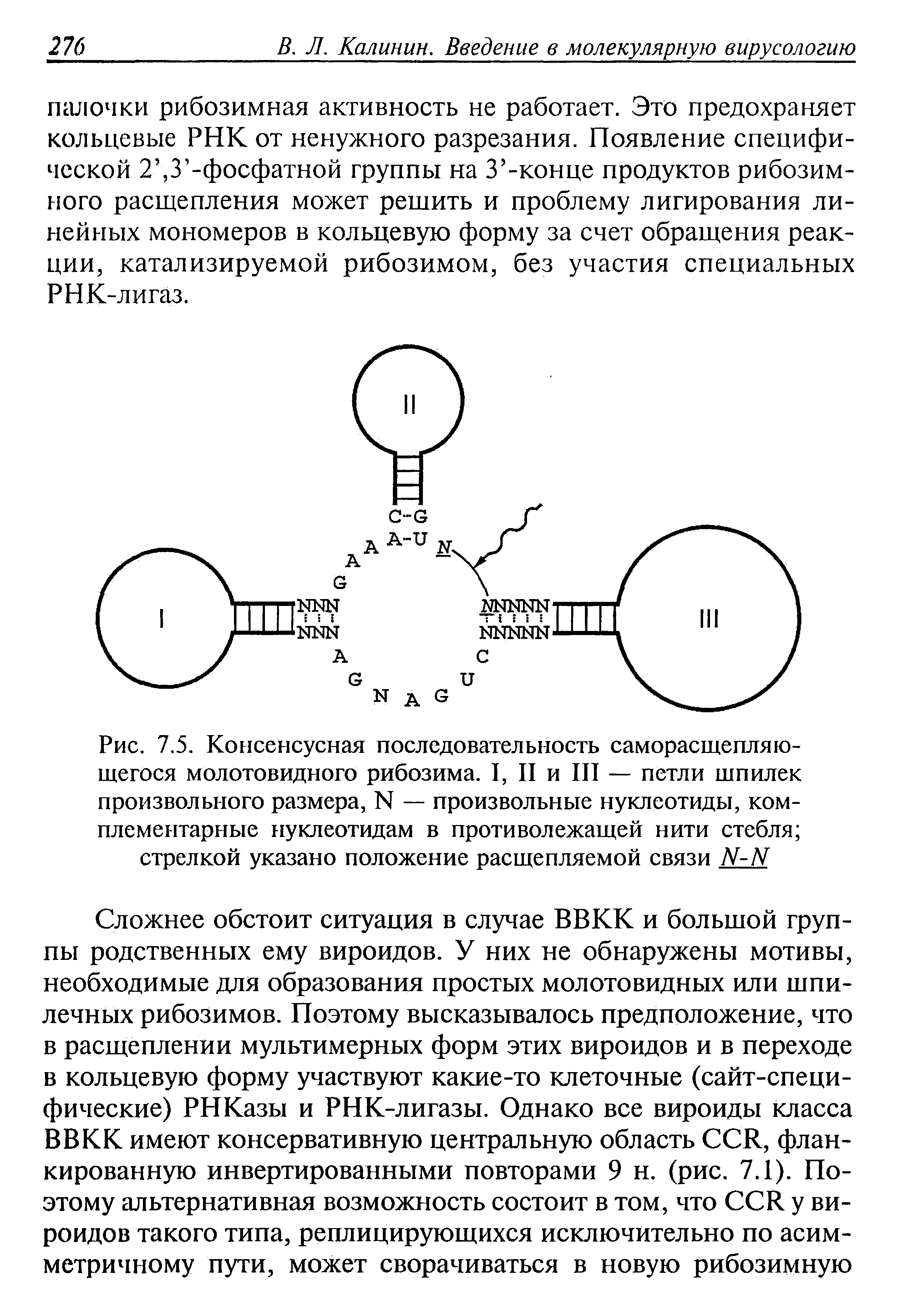 Рис. 7.5. Консенсусная последовательность саморасщепляю-щегося молотовидного рибозима. I, II и III — петли шпилек произвольного размера, N — произвольные нуклеотиды, комплементарные нуклеотидам в противолежащей нити стебля стрелкой указано положение расщепляемой связи N-N...