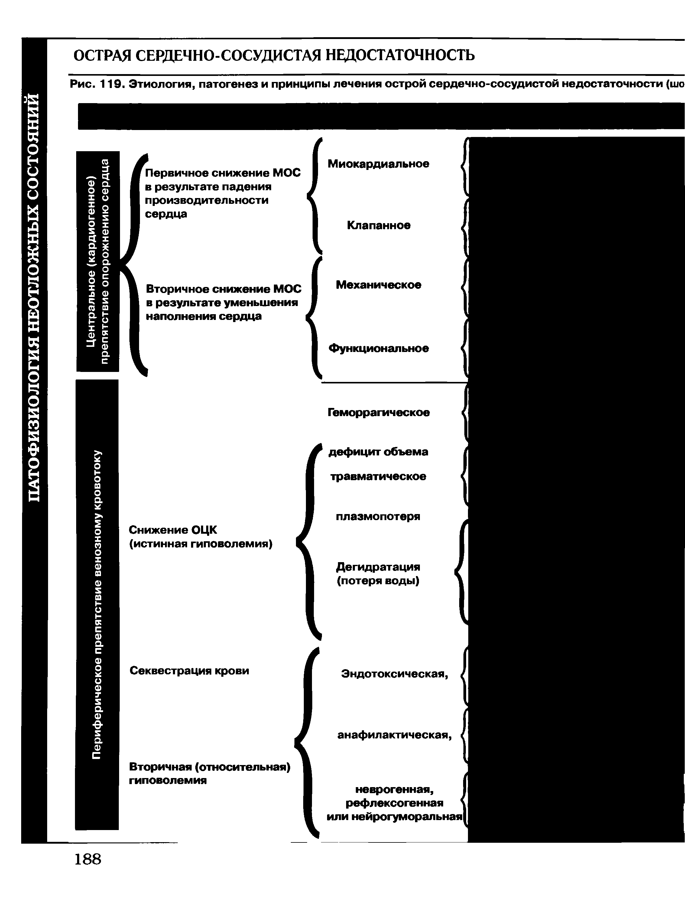 Рис. 119. Этиология, патогенез и принципы лечения острой сердечно-сосудистой недостаточности (шо...