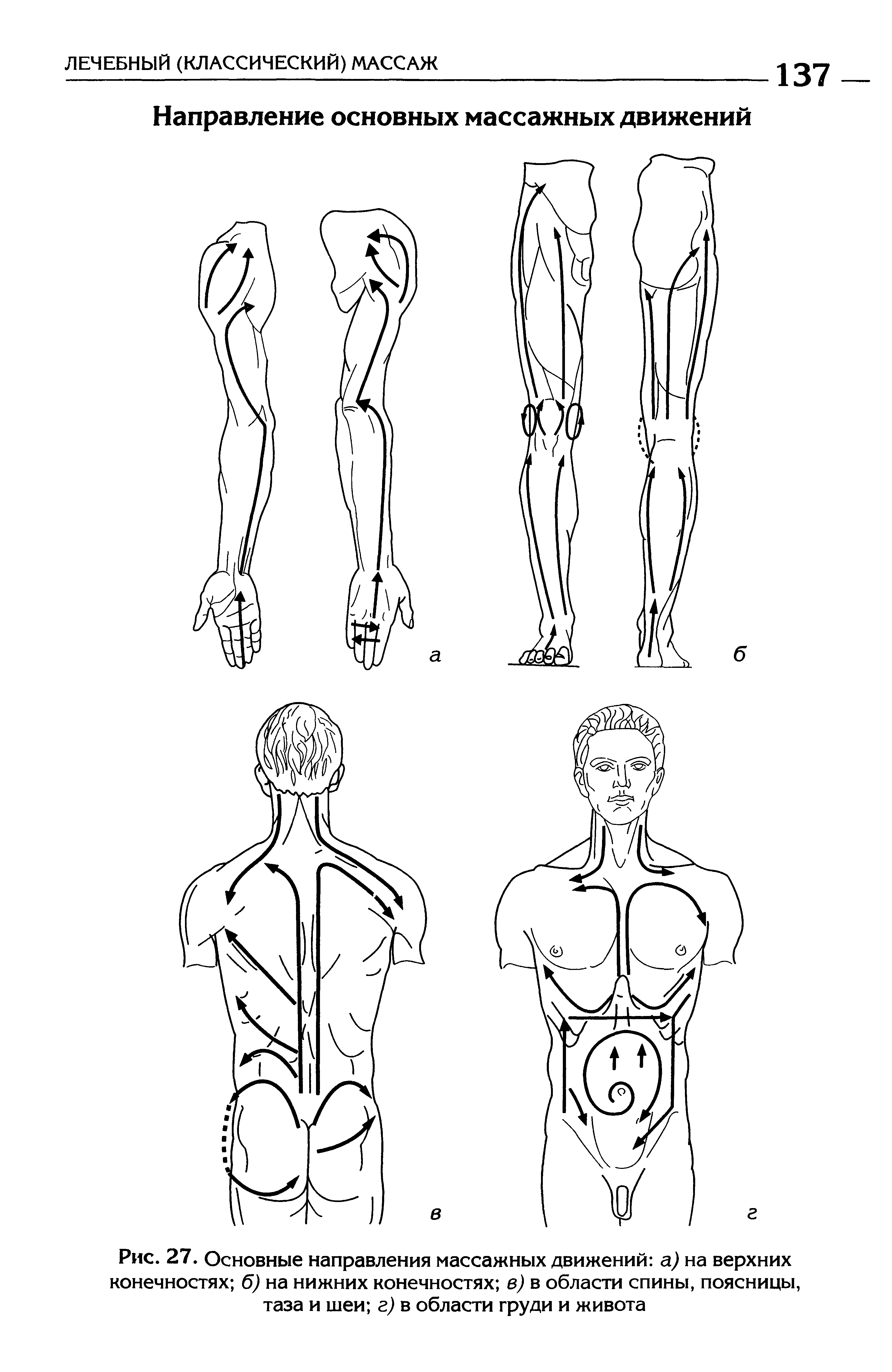 Рис. 27. Основные направления массажных движений а) на верхних конечностях б) на нижних конечностях в) в области спины, поясницы, таза и шеи г) в области груди и живота...