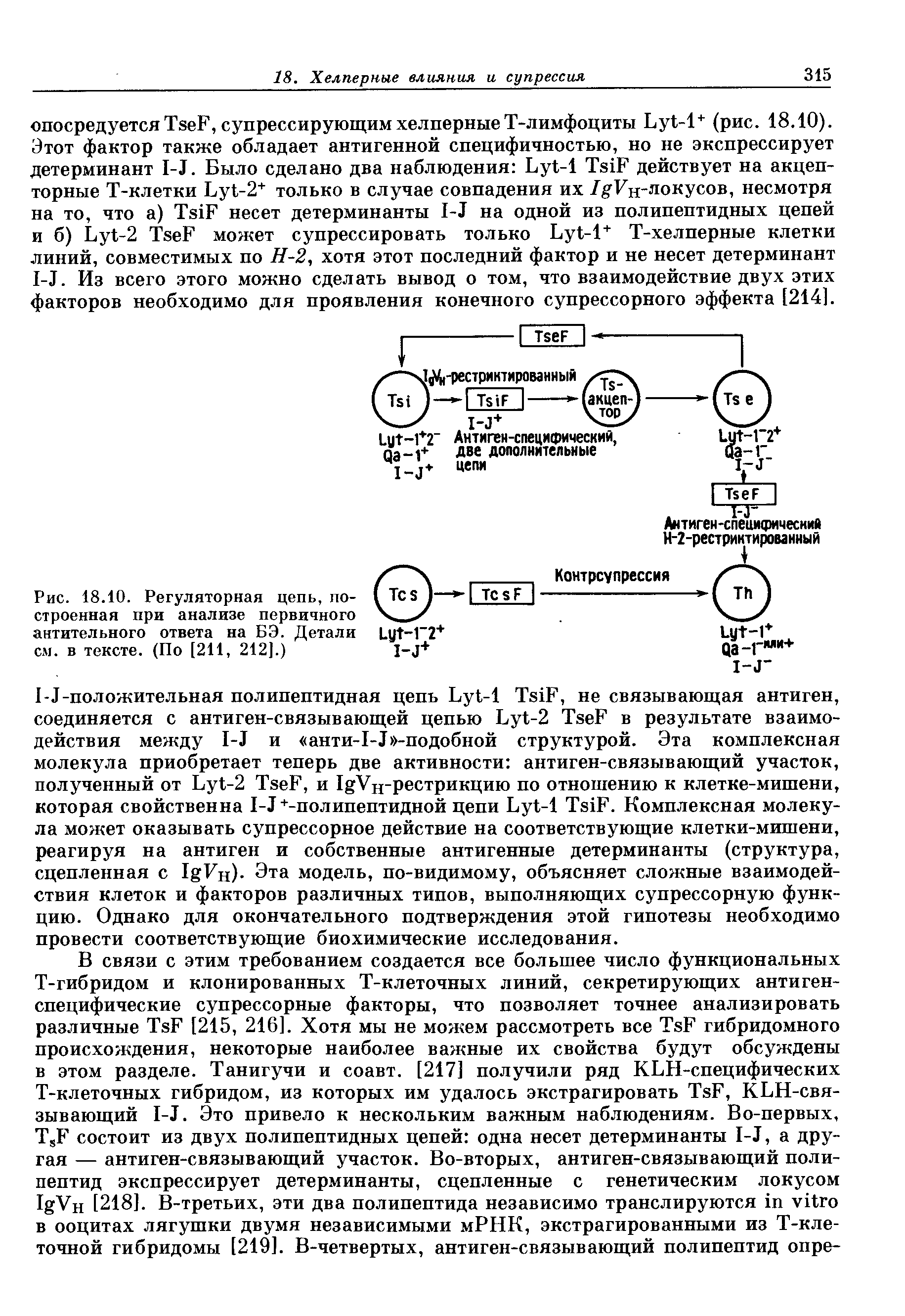 Рис. 18.10. Регуляторная цепь, построенная при анализе первичного антительного ответа на БЭ. Детали см. в тексте. (По [211, 212].)...