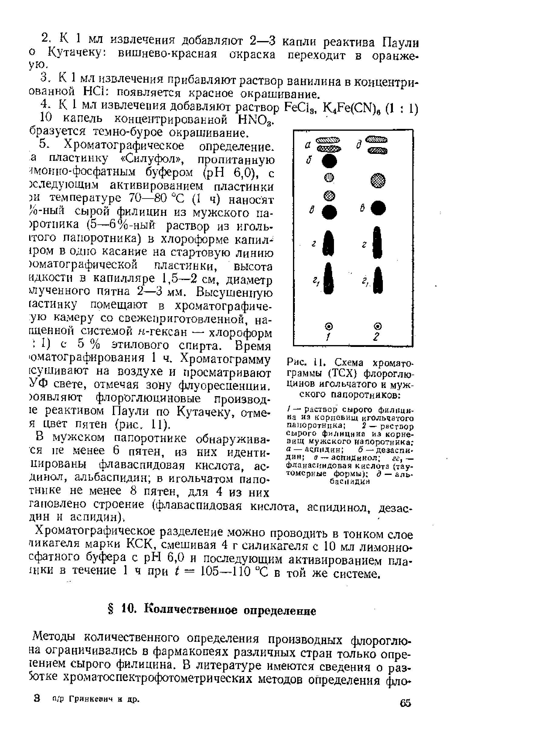 Рис. 11. Схема хромато граммы (ТСХ) флороглюцинов игольчатого и мужского папоротников ...