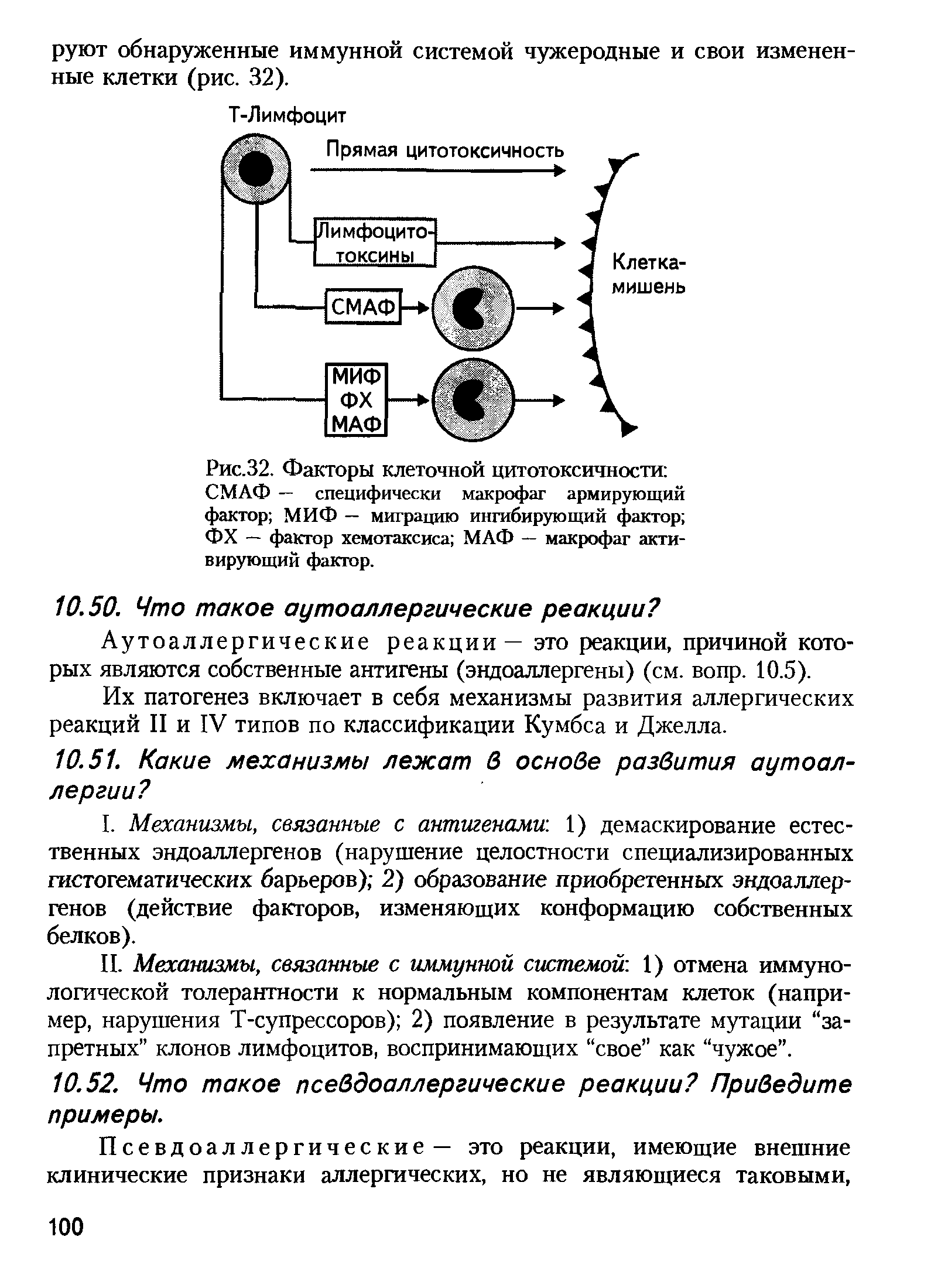 Рис.32. Факторы клеточной цитотоксичности СМАФ — специфически макрофаг армирующий фактор МИФ — миграцию ингибирующий фактор ФХ — фактор хемотаксиса МАФ — макрофаг активирующий фактор.