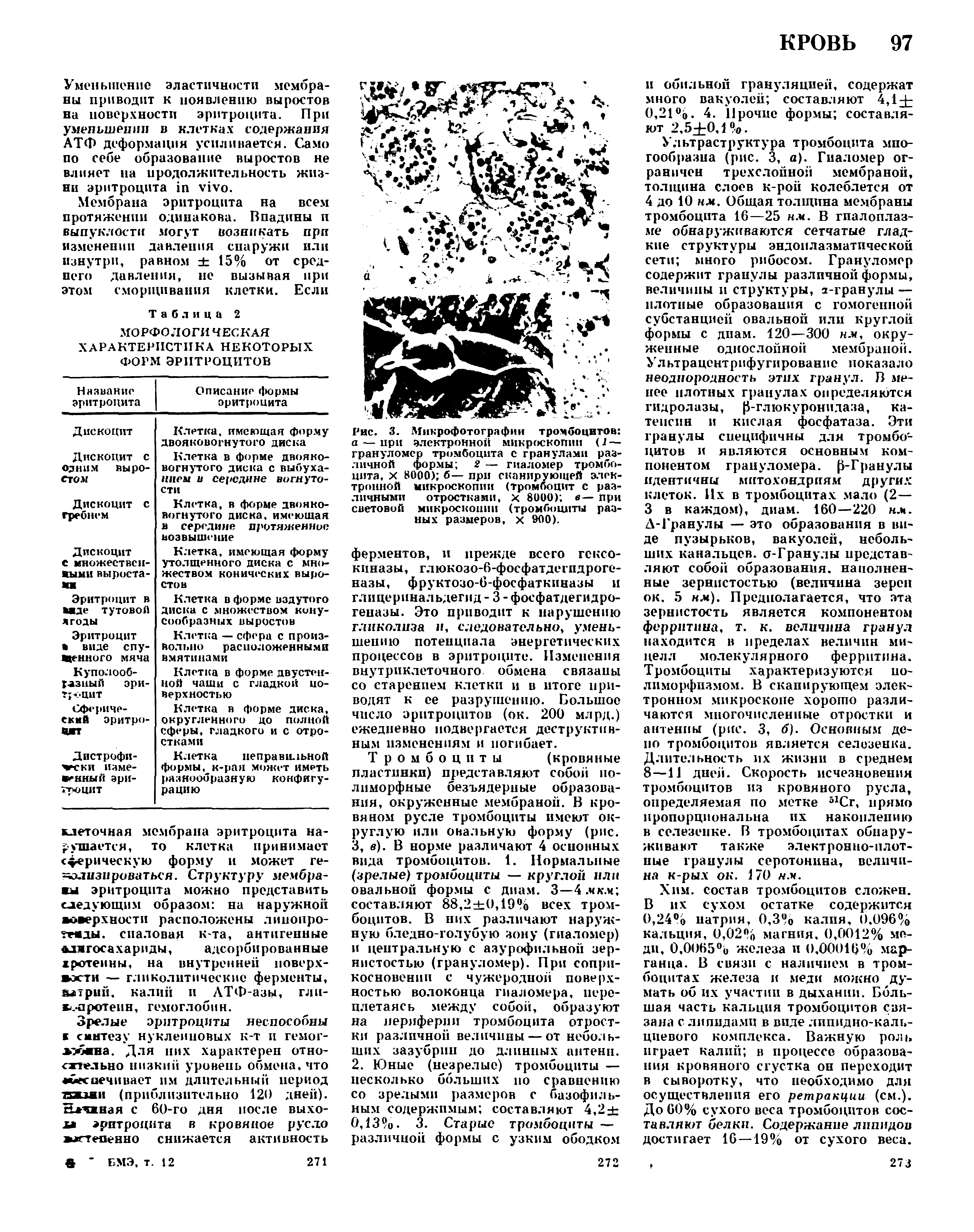 Рис. 3. Микрофотографии тромбоцитов а — при электронной микроскопии (1 — грануломер тромбоцита с гранулами различной формы 2 — гиаломер тромбоцита, X 8000) б— при сканирующей электронной микроскопии (тромбоцит с различными отростками, х 8000) в— при световой микроскопии (тромбоциты разных размеров, х 900).