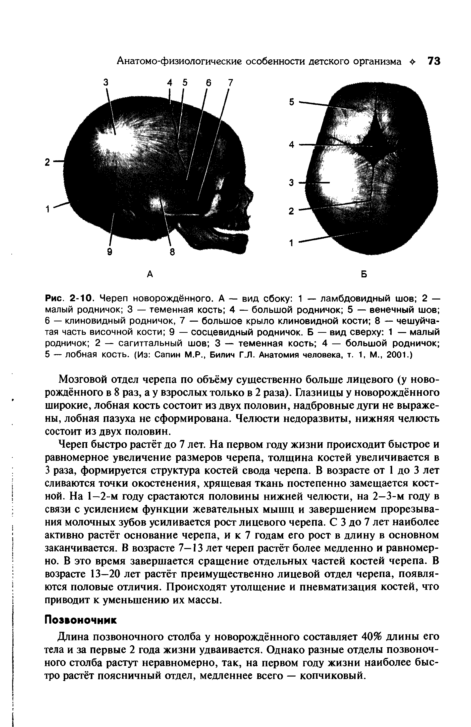 Рис. 2-10. Череп новорождённого. А — вид сбоку 1 — ламбдовидный шов 2 — малый родничок 3 — теменная кость 4 — большой родничок 5 — венечный шов 6 — клиновидный родничок, 7 — большое крыло клиновидной кости 8 — чешуйчатая часть височной кости 9 — сосцевидный родничок. Б — вид сверху 1 — малый родничок 2 — сагиттальный шов 3 — теменная кость 4 — большой родничок 5 — лобная кость. (Из Сапин М.Р., Билич Г.Л. Анатомия человека, т. 1, М., 2001.)...