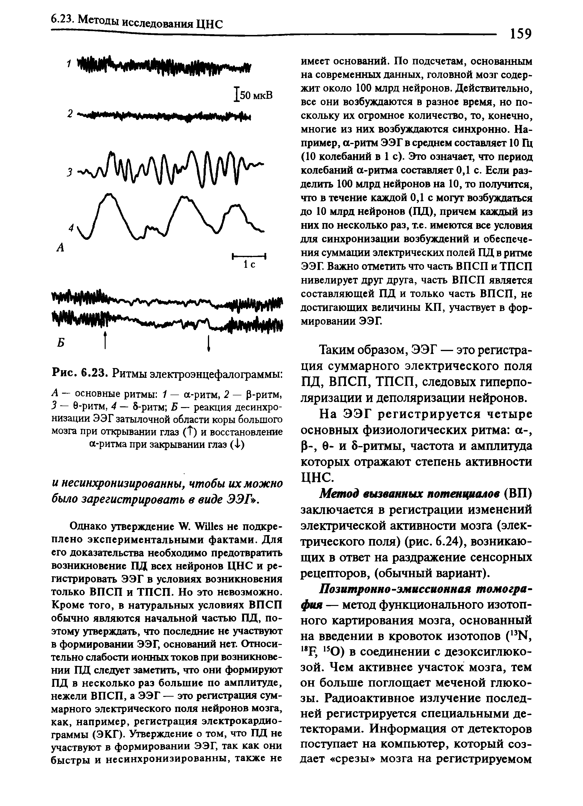 Рис. 6.23. Ритмы электроэнцефалограммы А — основные ритмы 1 — а-ритм, 2 — 0-ритм, 3 — 0-ритм, 4 — 5-ритм Б — реакция десинхронизации ЭЭГ затылочной области коры большого мозга при открывании глаз ( ) и восстановление а-ритма при закрывании глаз ( )...