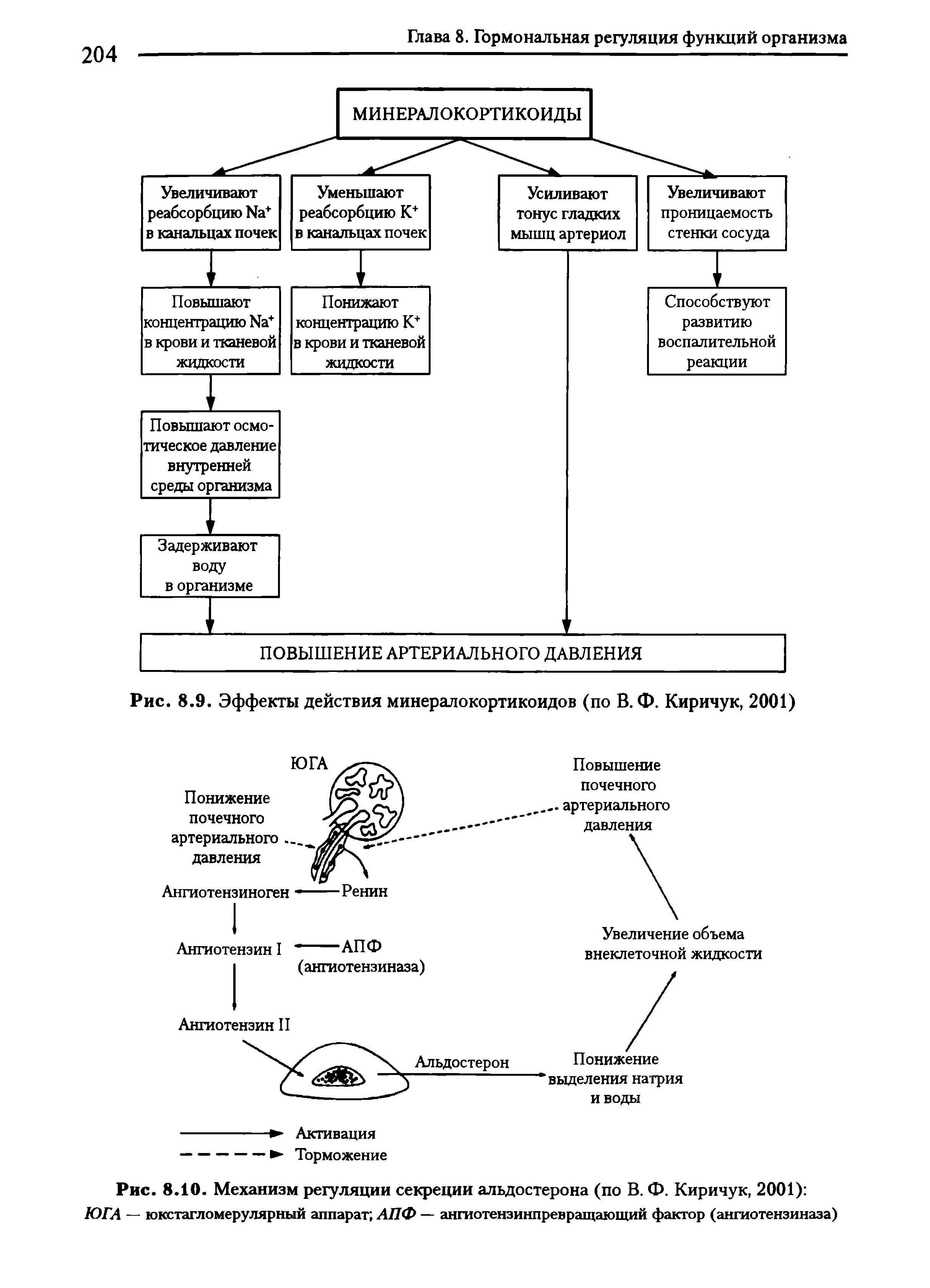 Рис. 8.10. Механизм регуляции секреции альдостерона (по В. Ф. Киричук, 2001) ЮГА — юкстагломерулярный аппарат АПФ — ангиотензинпревращающий фактор (ангиотензиназа)...