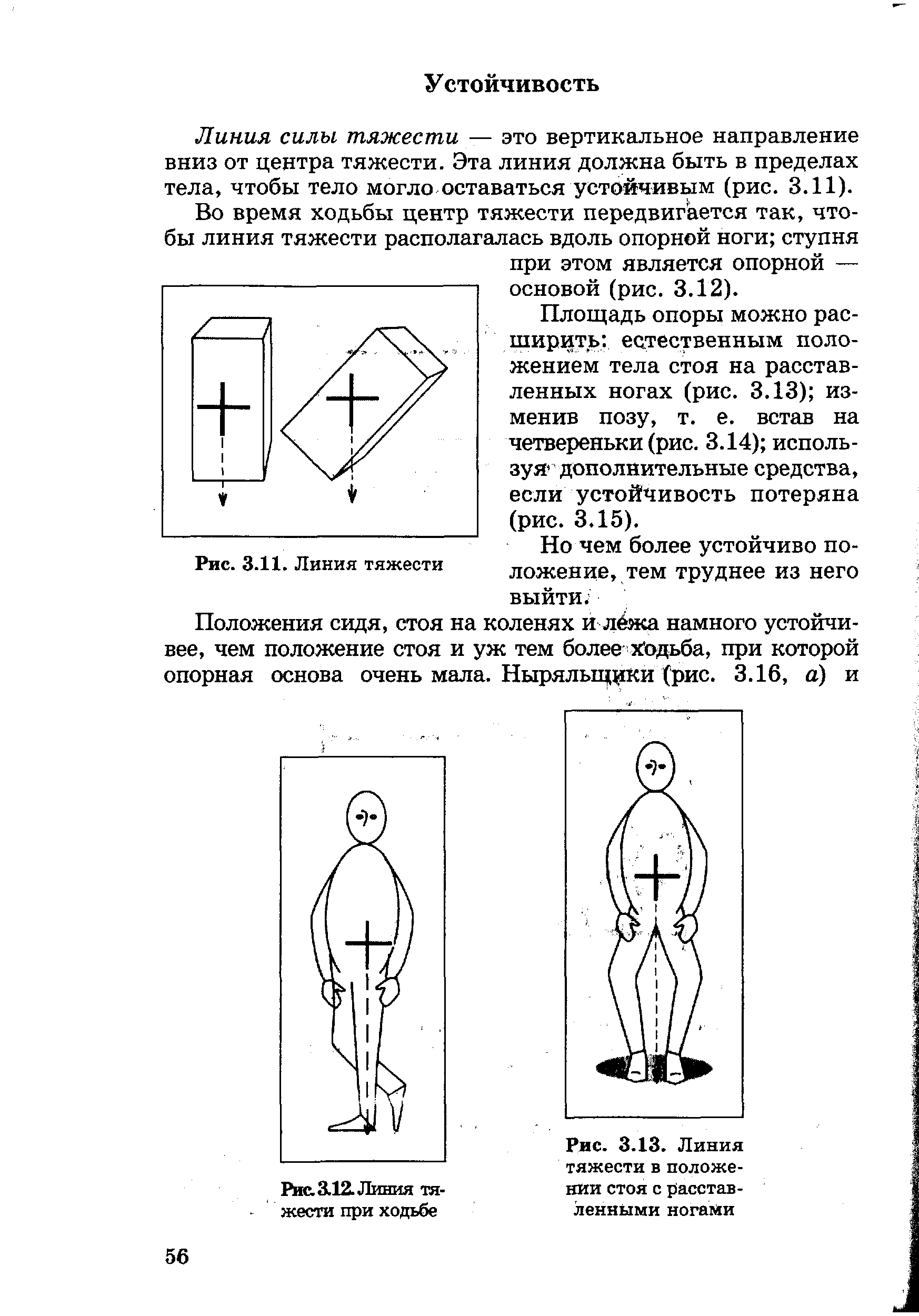 Рис. 3.13. Линия тяжести в положении стоя с расставленными ногами...