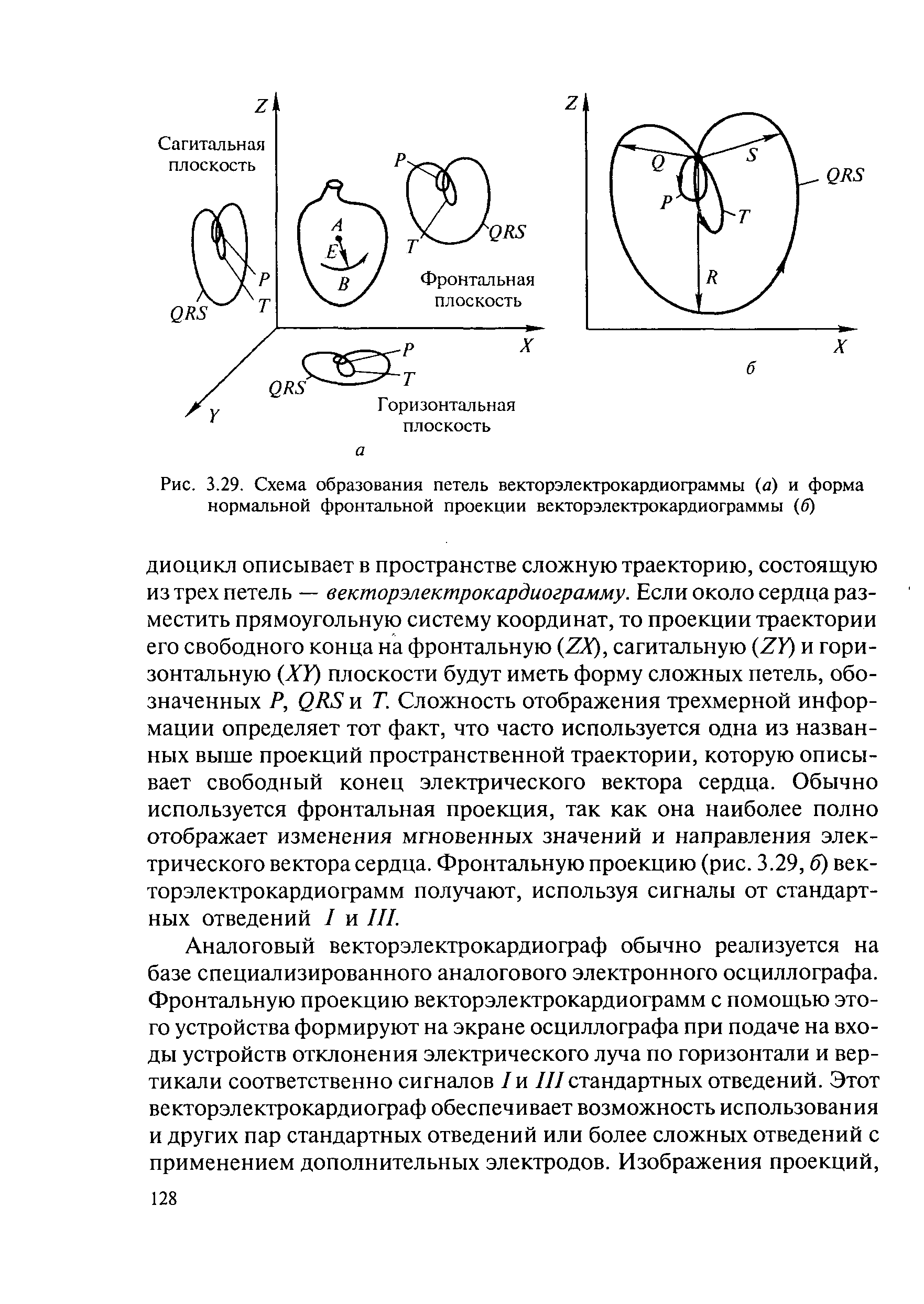 Рис. 3.29. Схема образования петель векторэлектрокардиограммы (а) и форма нормальной фронтальной проекции векторэлектрокардиограммы (б)...