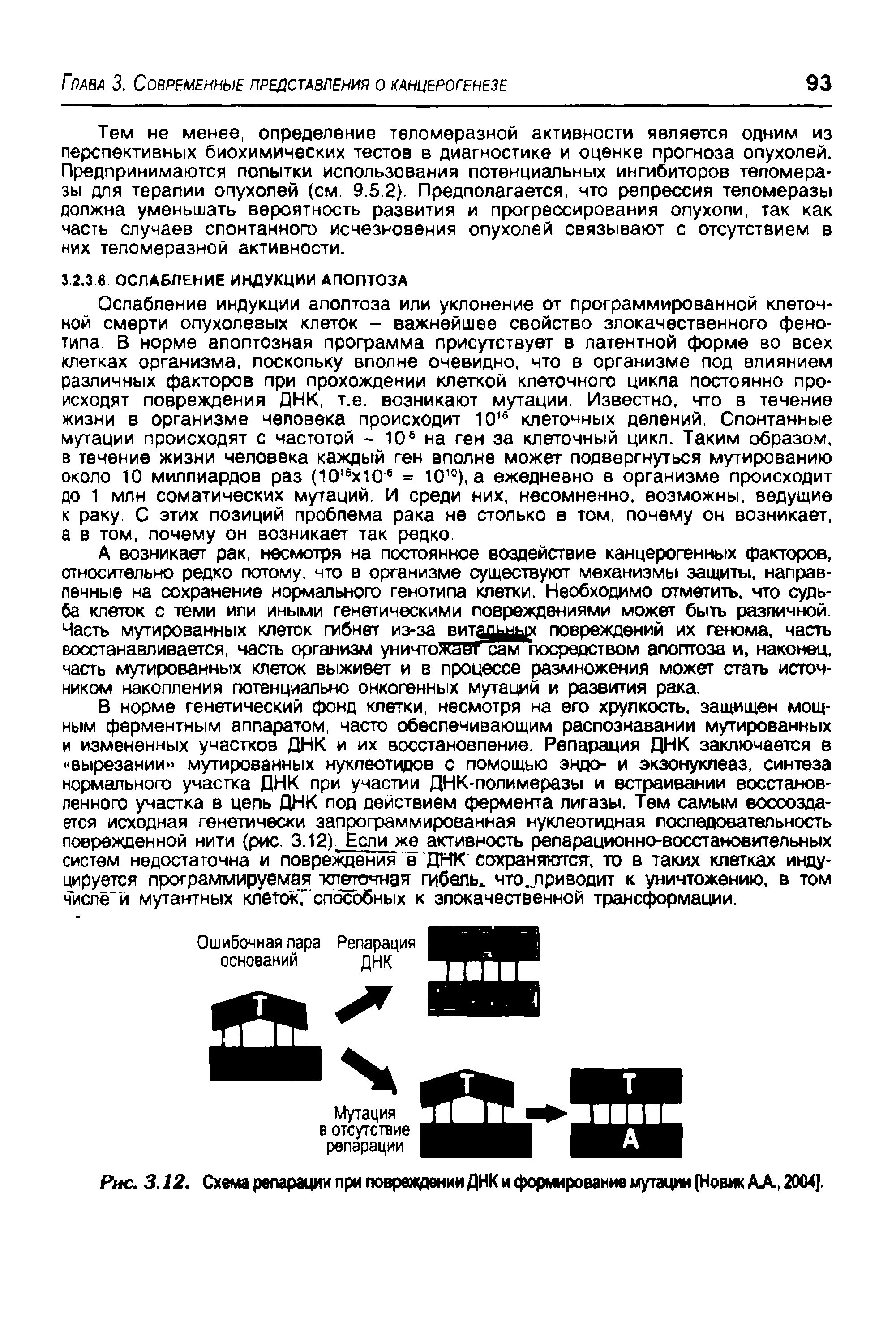 Рис. 3.12. Схема репарации при повреждении ДНК и формирование мутации [Новик АА, 2004].