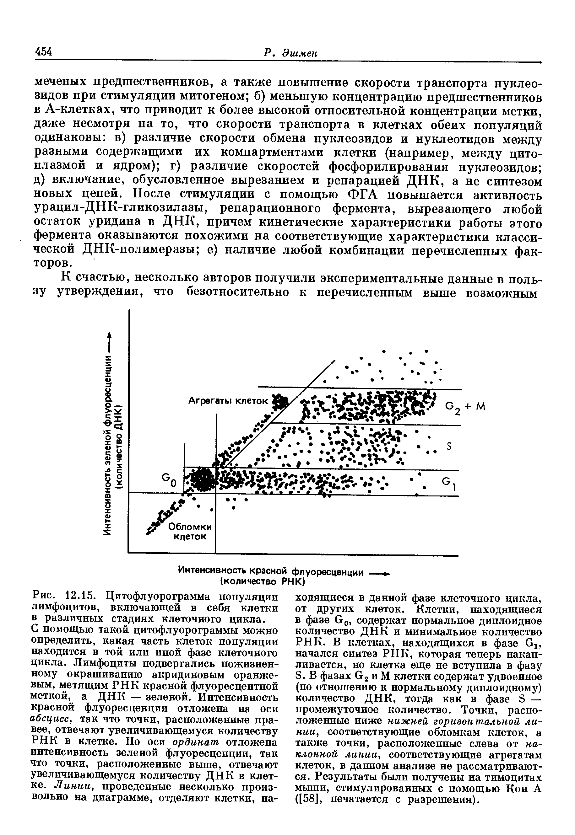 Рис. 12.15. Цитофлуорограмма популяции лимфоцитов, включающей в себя клетки в различных стадиях клеточного цикла.