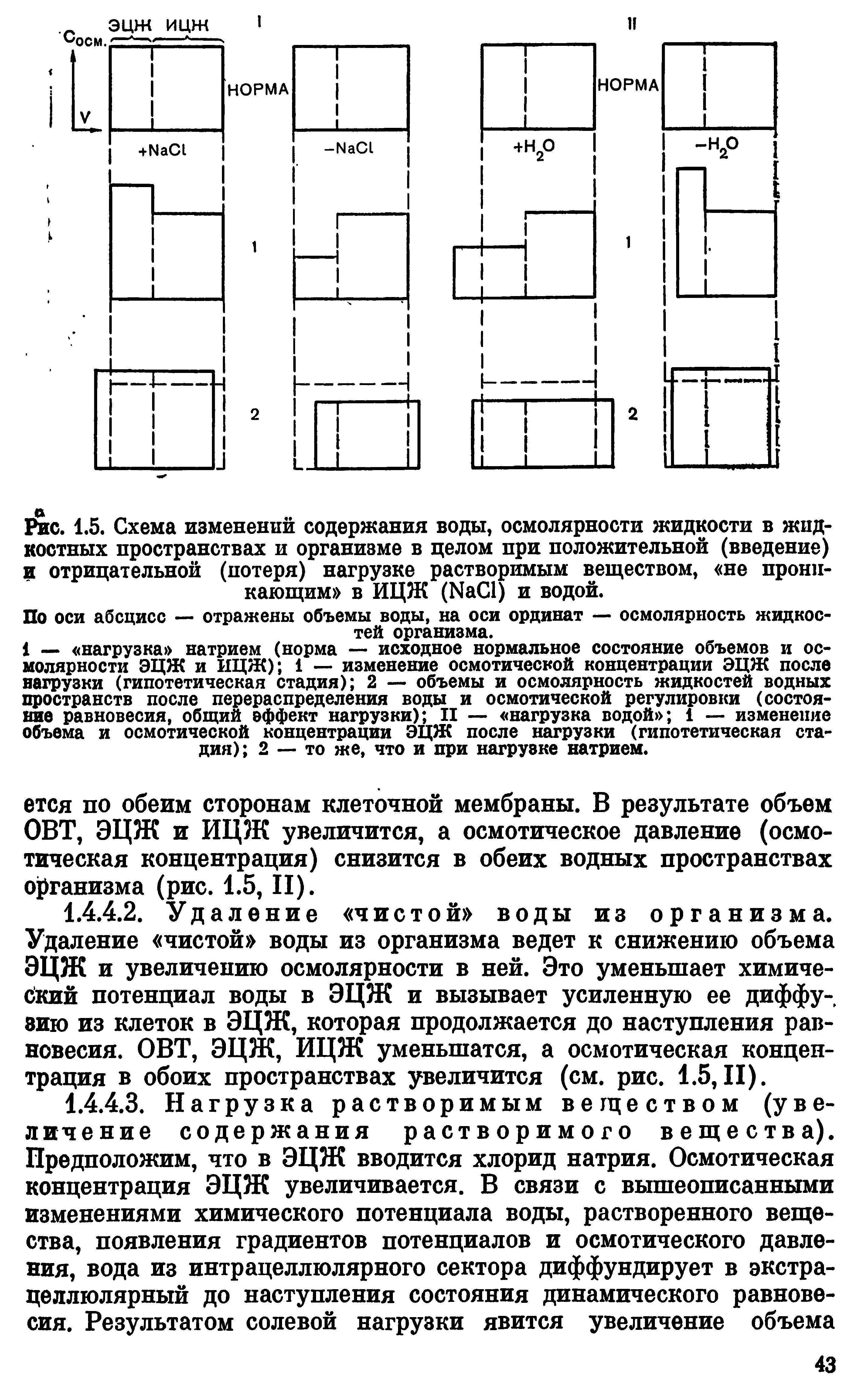 Рис. 1.5. Схема изменений содержания воды, осмолярности жидкости в жидкостных пространствах и организме в целом при положительной (введение) и отрицательной (потеря) нагрузке растворимым веществом, не проникающим в ИЦЖ (ЫаС1) и водой.