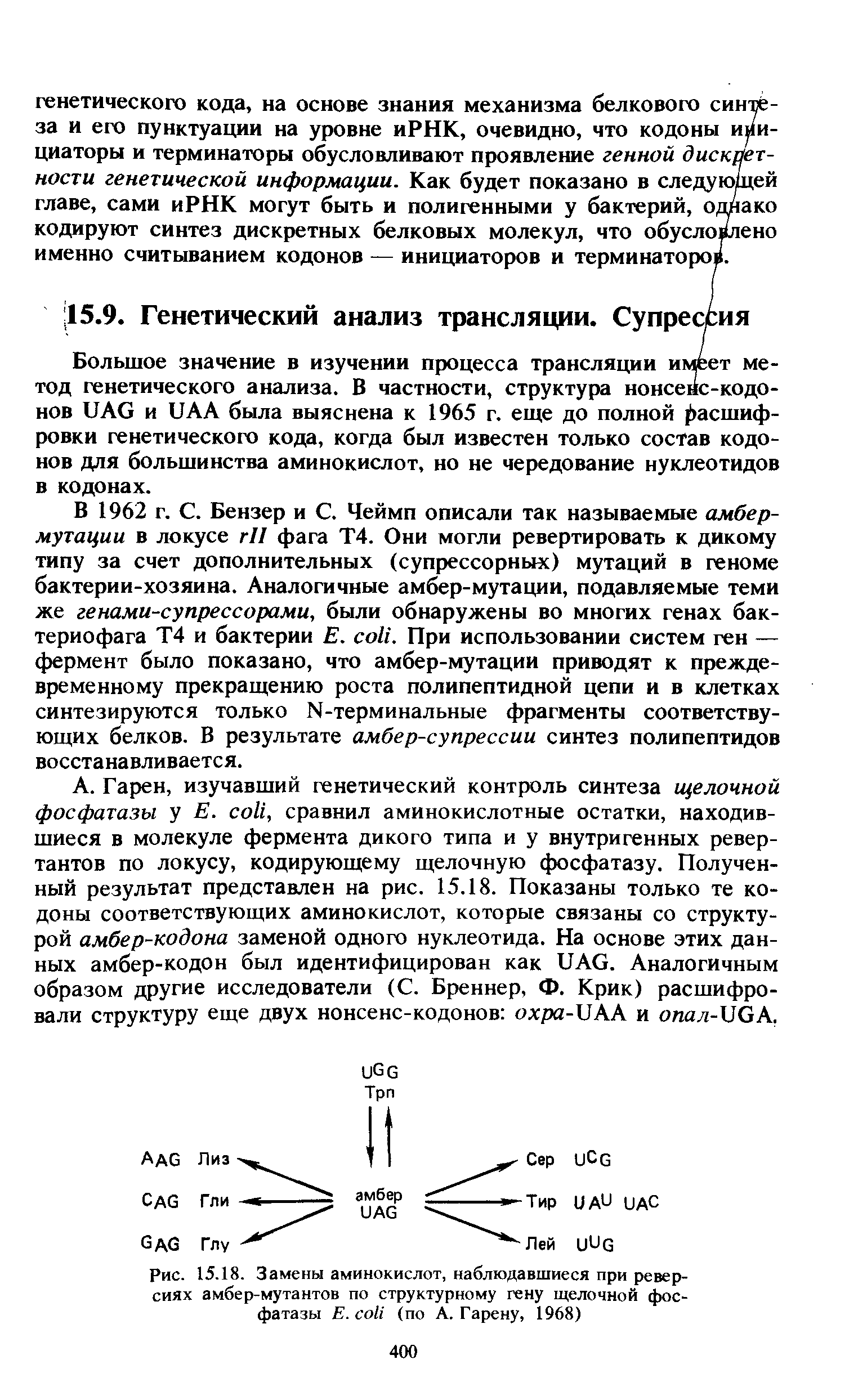 Рис. 15.18. Замены аминокислот, наблюдавшиеся при реверсиях амбер-мутантов по структурному гену щелочной фосфатазы Е. (по А. Гарену, 1968)...