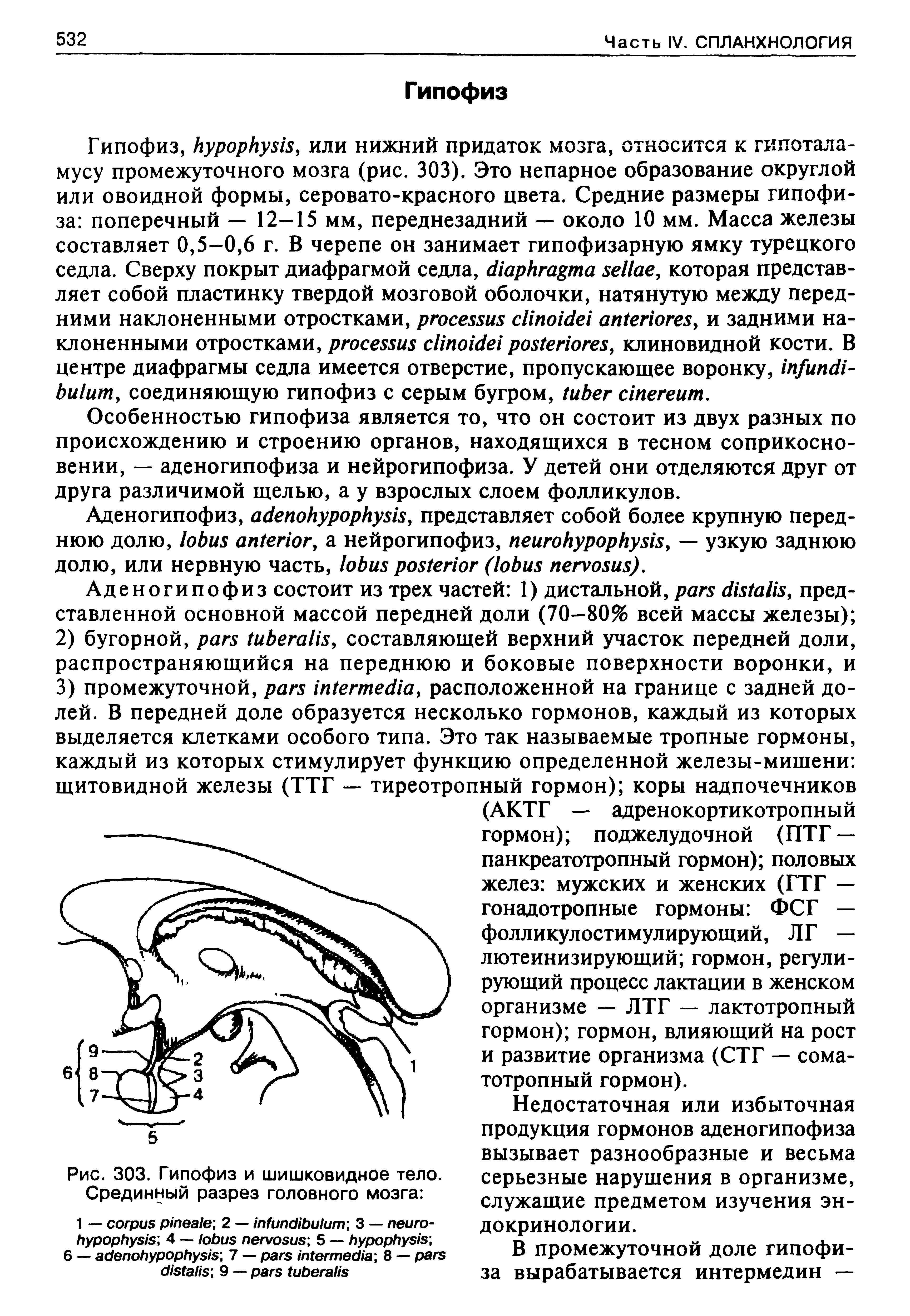 Рис. 303. Гипофиз и шишковидное тело. Срединный разрез головного мозга ...