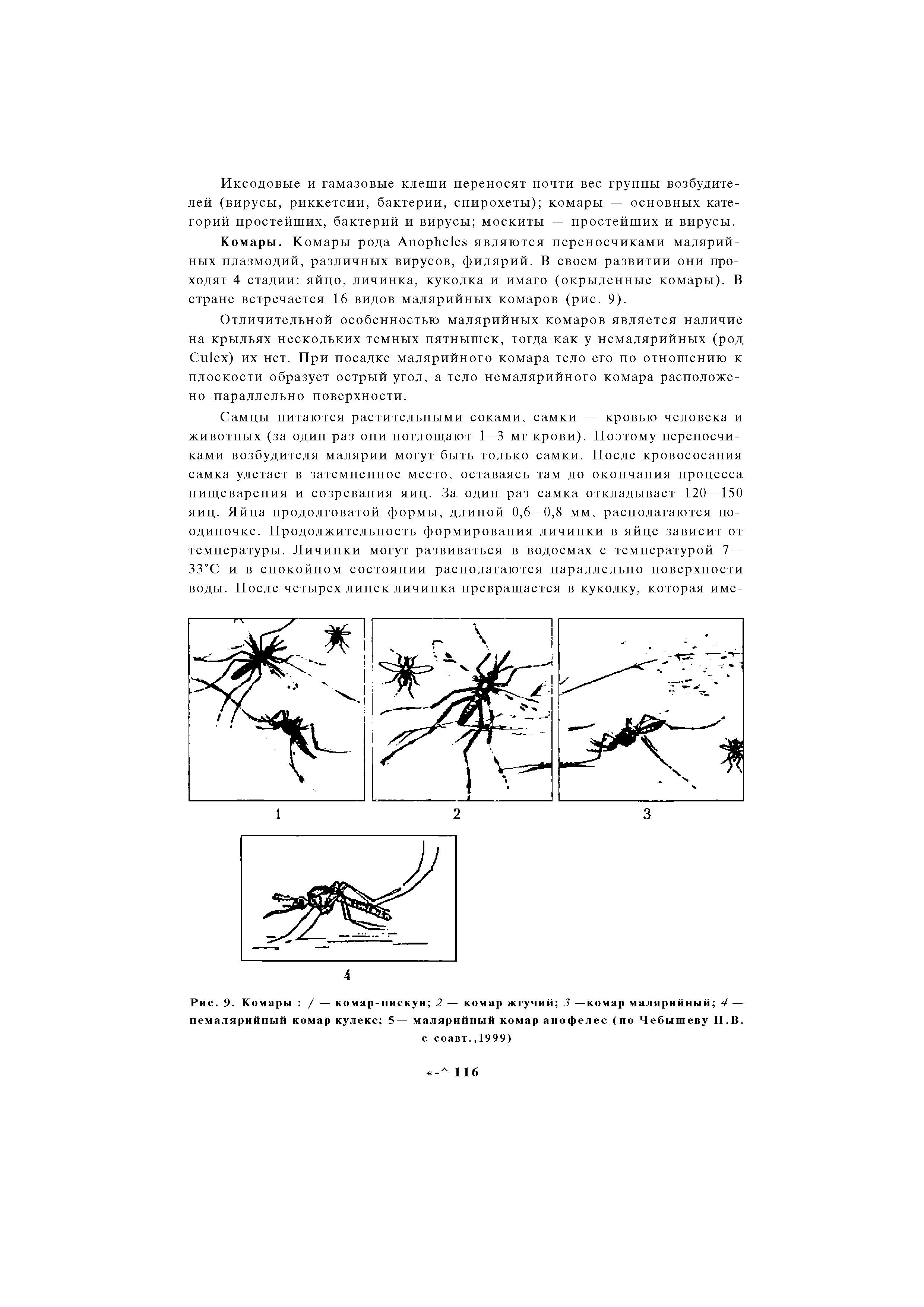 Рис. 9. Комары / — комар-пискун 2 — комар жгучий 3 —комар малярийный 4 — немалярийный комар кулекс 5— малярийный комар анофелес (по Чебышеву Н.В.