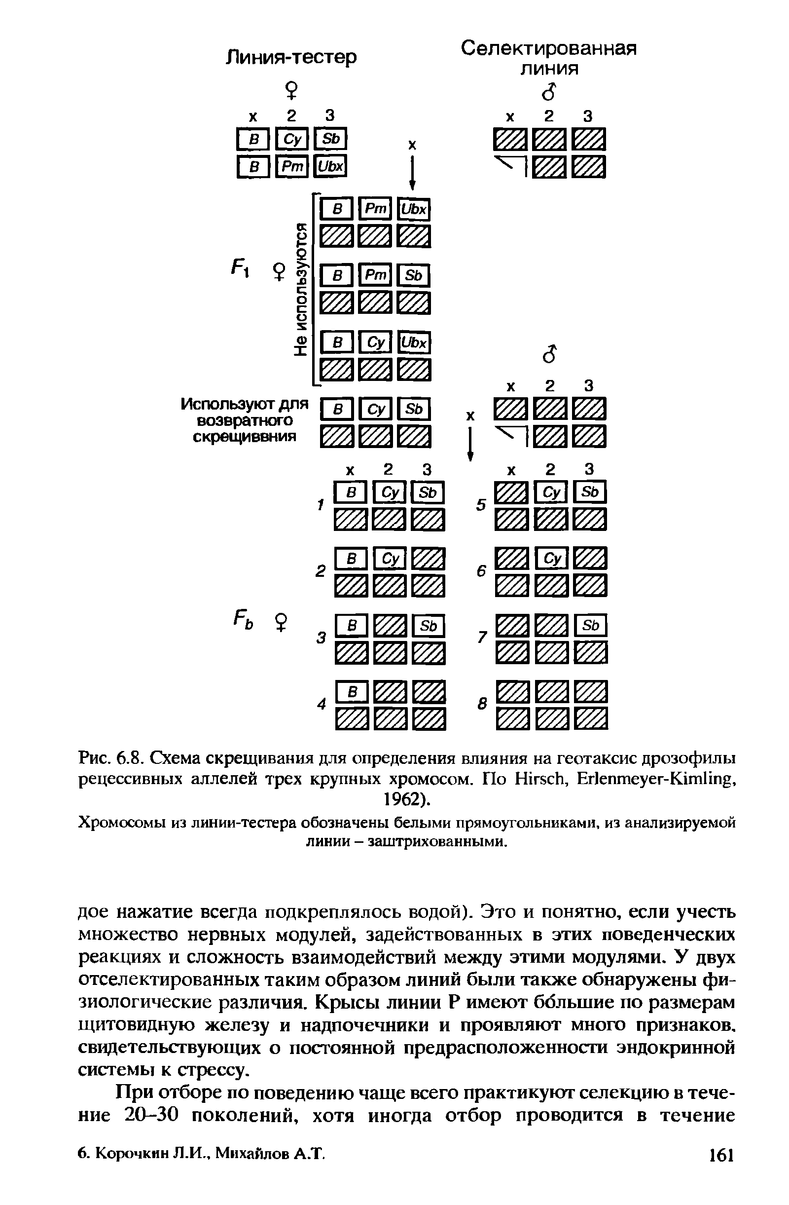 Рис. 6.8. Схема скрещивания для определения влияния на геотаксис дрозофилы рецессивных аллелей трех крупных хромосом. По H , E -K , 1962).