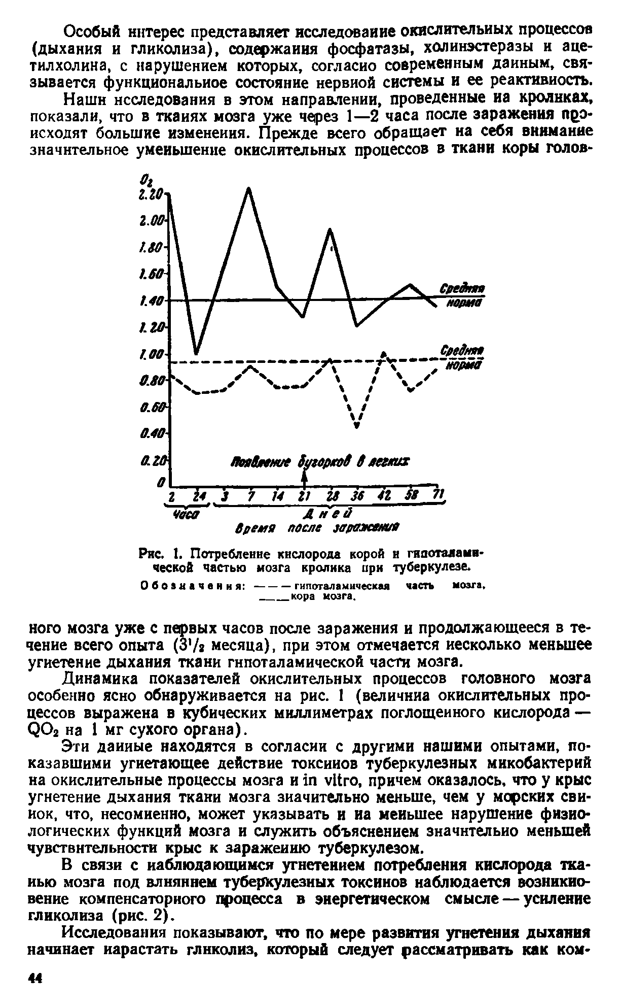 Рис. 1. Потребление кислорода корой и гипоталамической частью мозга кролика при туберкулезе. Обоакачення -------гипоталамическая часть мозга.