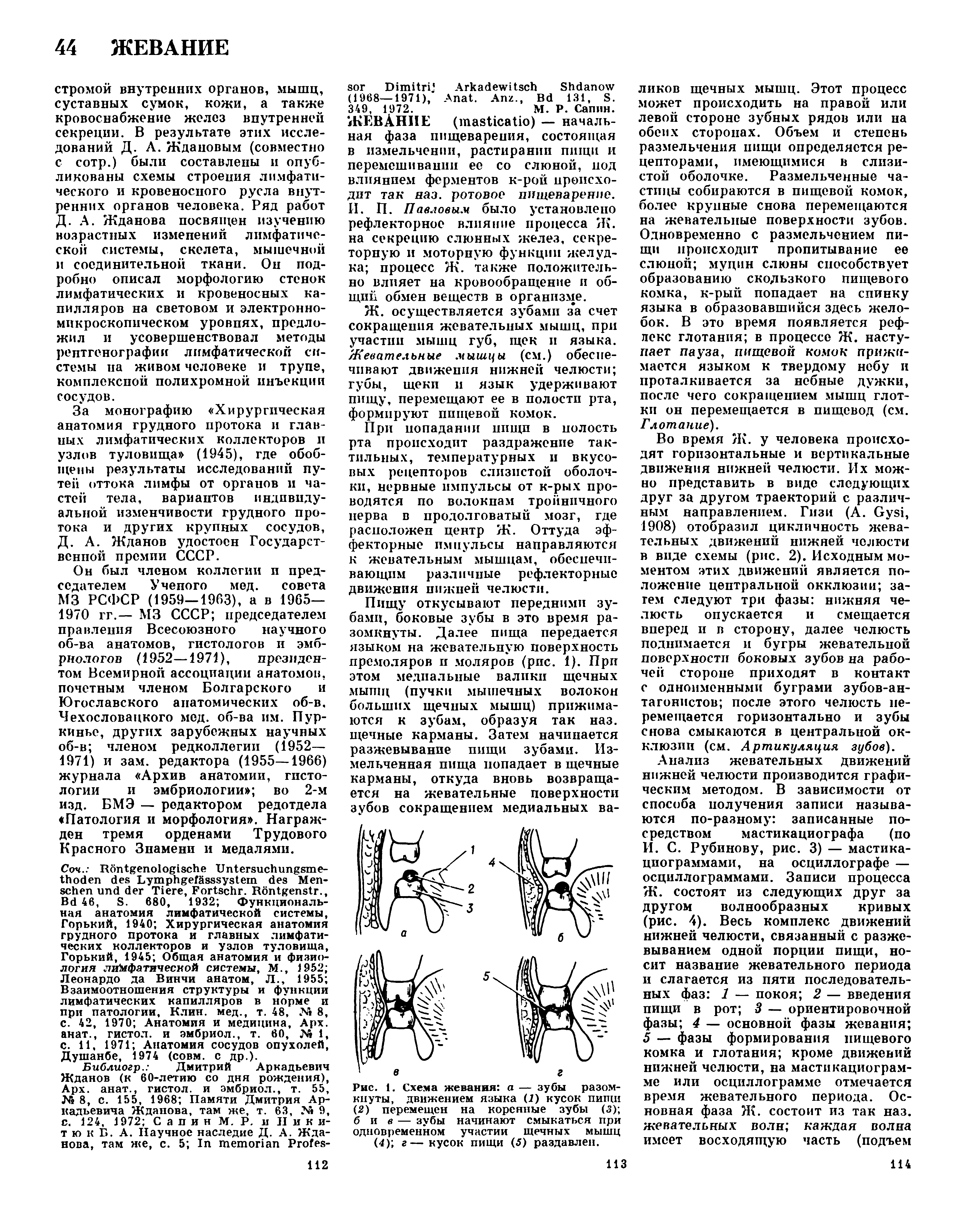 Рис. 1. Схема жевания а — зубы разомкнуты, движением языка (1) кусок пищи (2) перемещен на коренные зубы (3) бив — зубы начинают смыкаться при одновременном участии щечных мышц (4) г—кусок пищи (5) раздавлен.