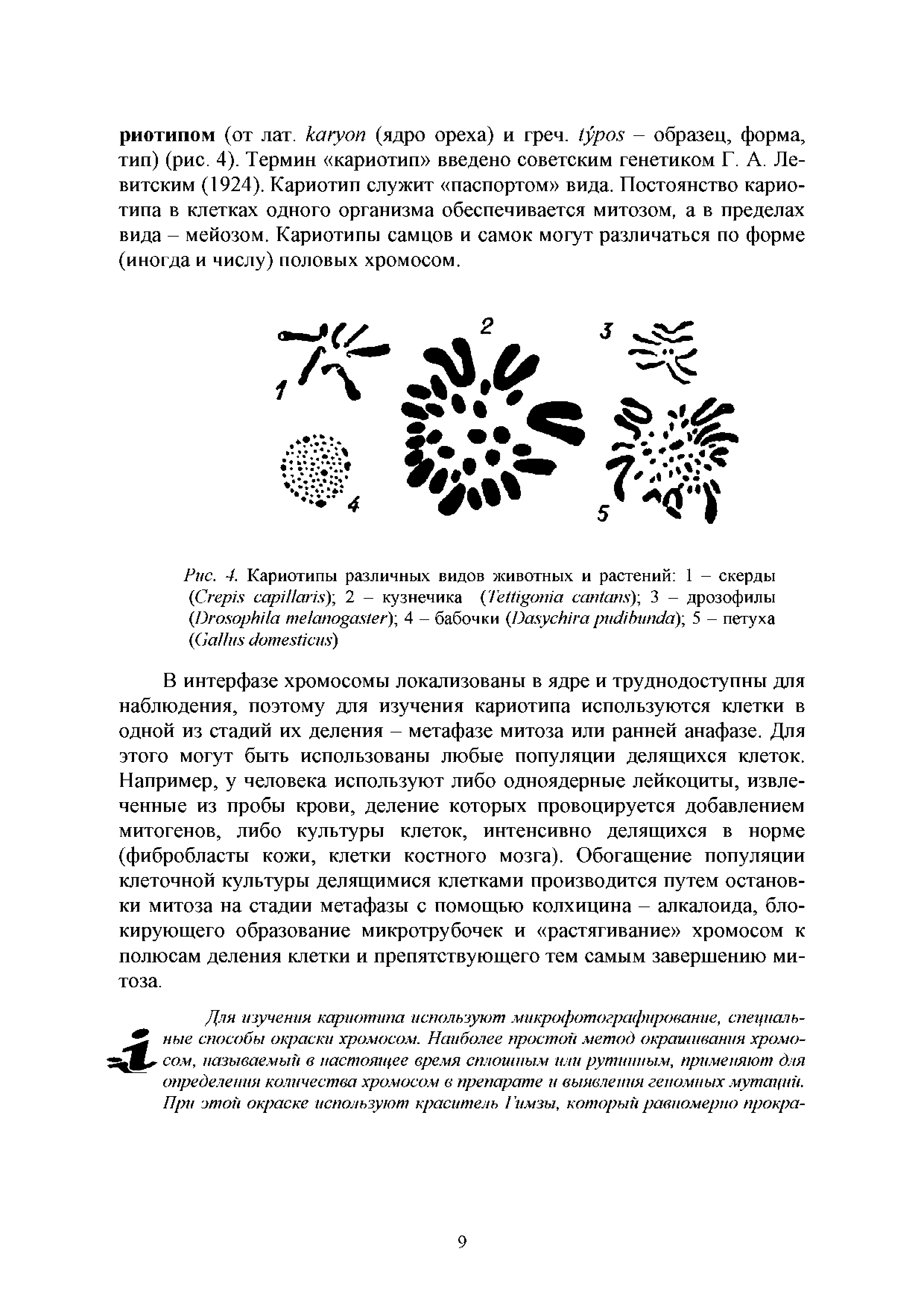 Рис. 4. Кариотипы различных видов животных и растений 1 - скерды C ), 2 - кузнечика T ) 3 - дрозофилы D ) 4 - бабочки D ) 5 - петуха G )...