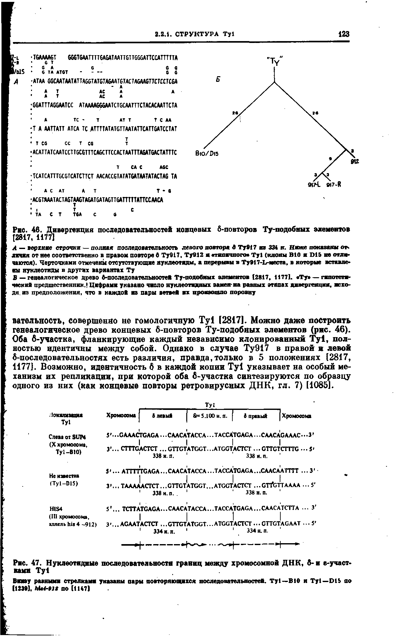 Рис. 46. Дивергенция последовательностей концевых 6-повторов Ту-подобных элементов [2817, 1177]...