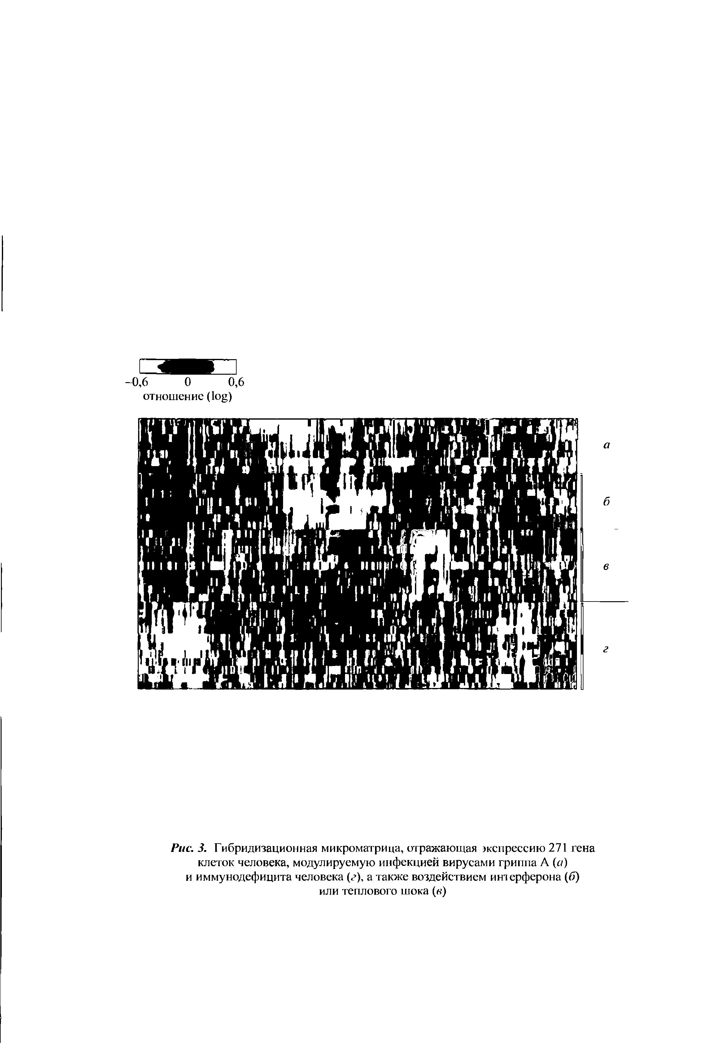 Рис. 3. Гибридизационная микроматрица, отражающая экспрессию 271 гена клеток человека, модулируемую инфекцией вирусами гриппа А (и) и иммунодефицита человека (г), а также воздействием интерферона (б) или теплового шока ( )...