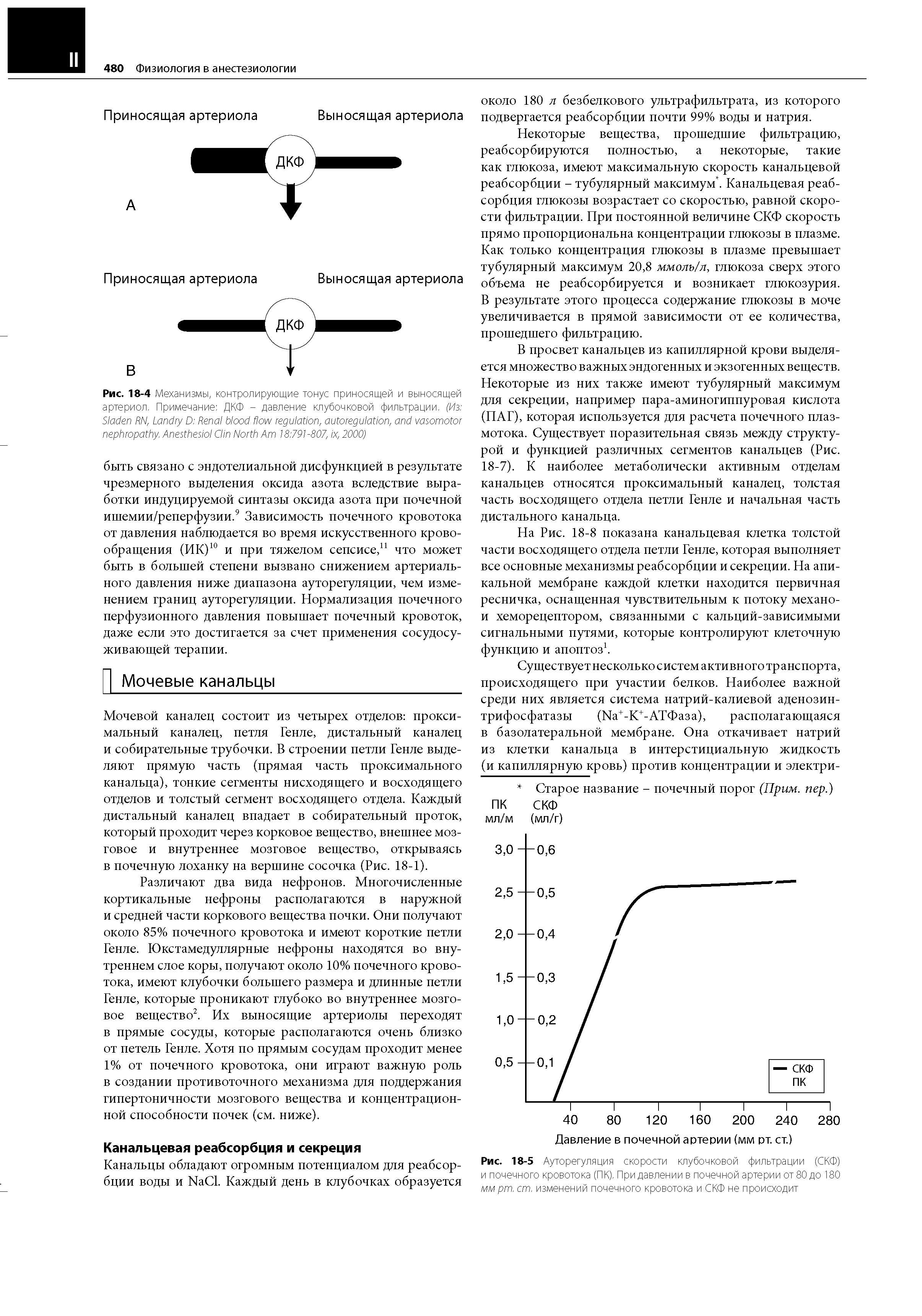 Рис. 18-5 Ауторегуляция скорости клубочковой фильтрации (СКФ) и почечного кровотока (ПК). При давлении в почечной артерии от 80 до 180 мм рт. ст. изменений почечного кровотока и СКФ не происходит...