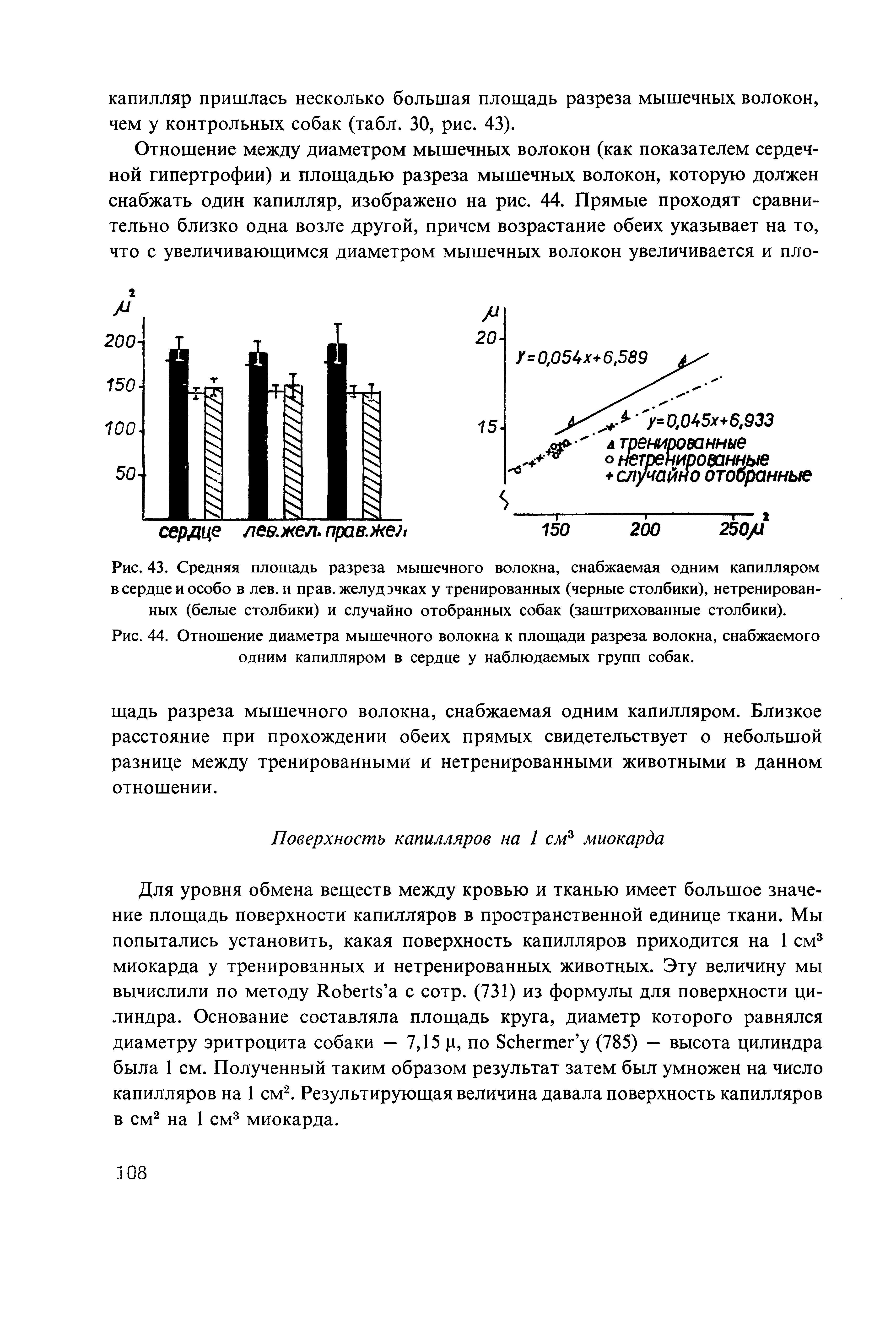 Рис. 44. Отношение диаметра мышечного волокна к площади разреза волокна, снабжаемого одним капилляром в сердце у наблюдаемых групп собак.