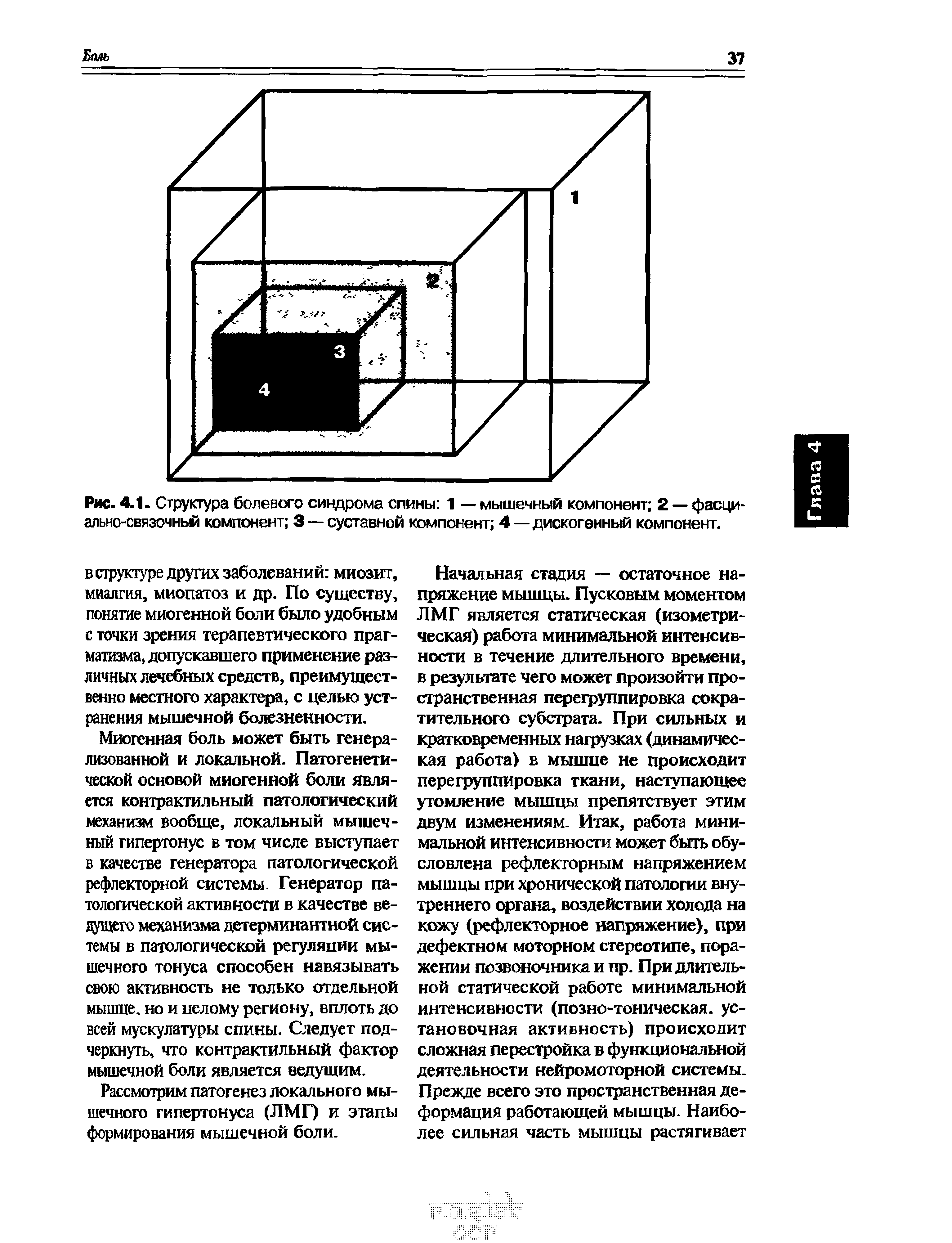 Рис. 4.1. Структура болевого синдрома спины 1 — мышечный компонент 2 — фасциально-связочный компонент 3 — суставной компонент 4—дискогенный компонент.