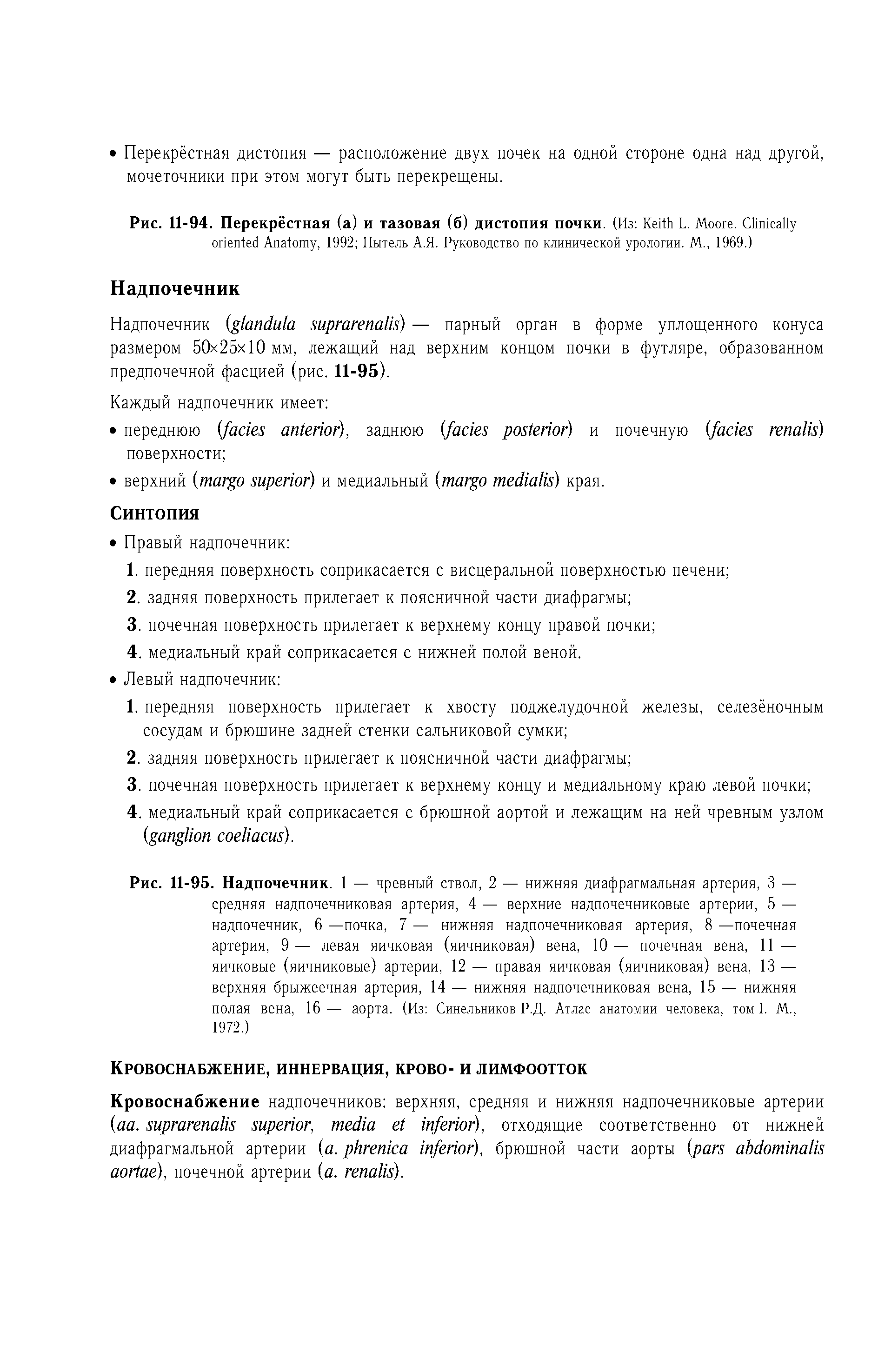 Рис. 11-94. Перекрёстная (а) и тазовая (б) дистопия почки. (Из K L. M . C A , 1992 Пытель А.Я. Руководство по клинической урологии. М., 1969.)...