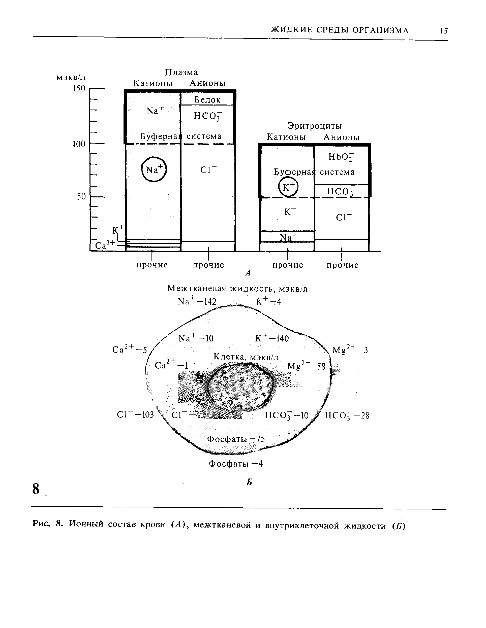 Рис. 8. Ионный состав крови (А), межтканевой и внутриклеточной жидкости (Б)...