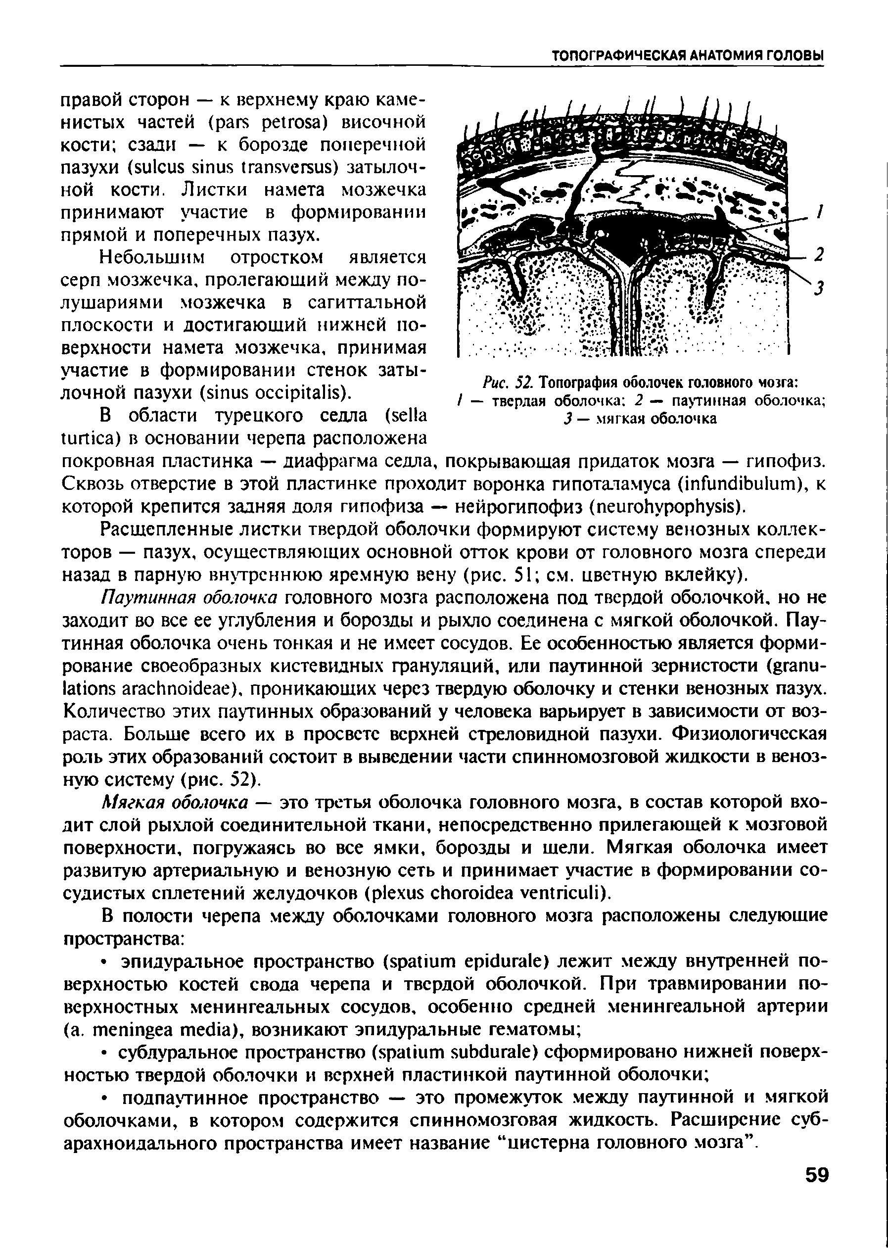 Рис. 52. Топография оболочек головного мозга / — твердая оболочка 2 — паутинная оболочка 3 — мягкая оболочка...