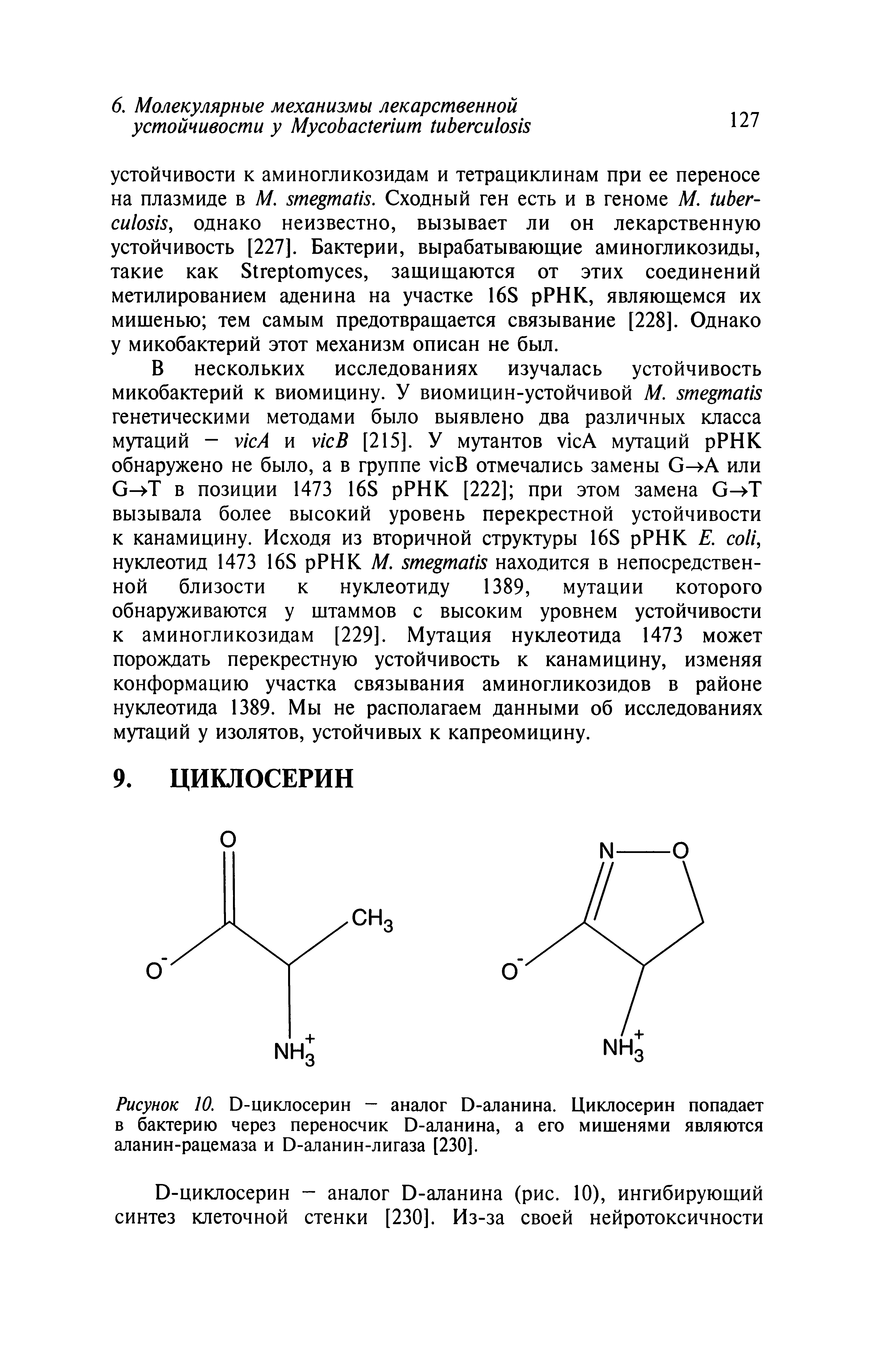 Рисунок 10. О-циклосерин - аналог Ц-аланина. Циклосерин попадает в бактерию через переносчик Ц-аланина, а его мишенями являются аланин-рацемаза и Э-аланин-лигаза [230].