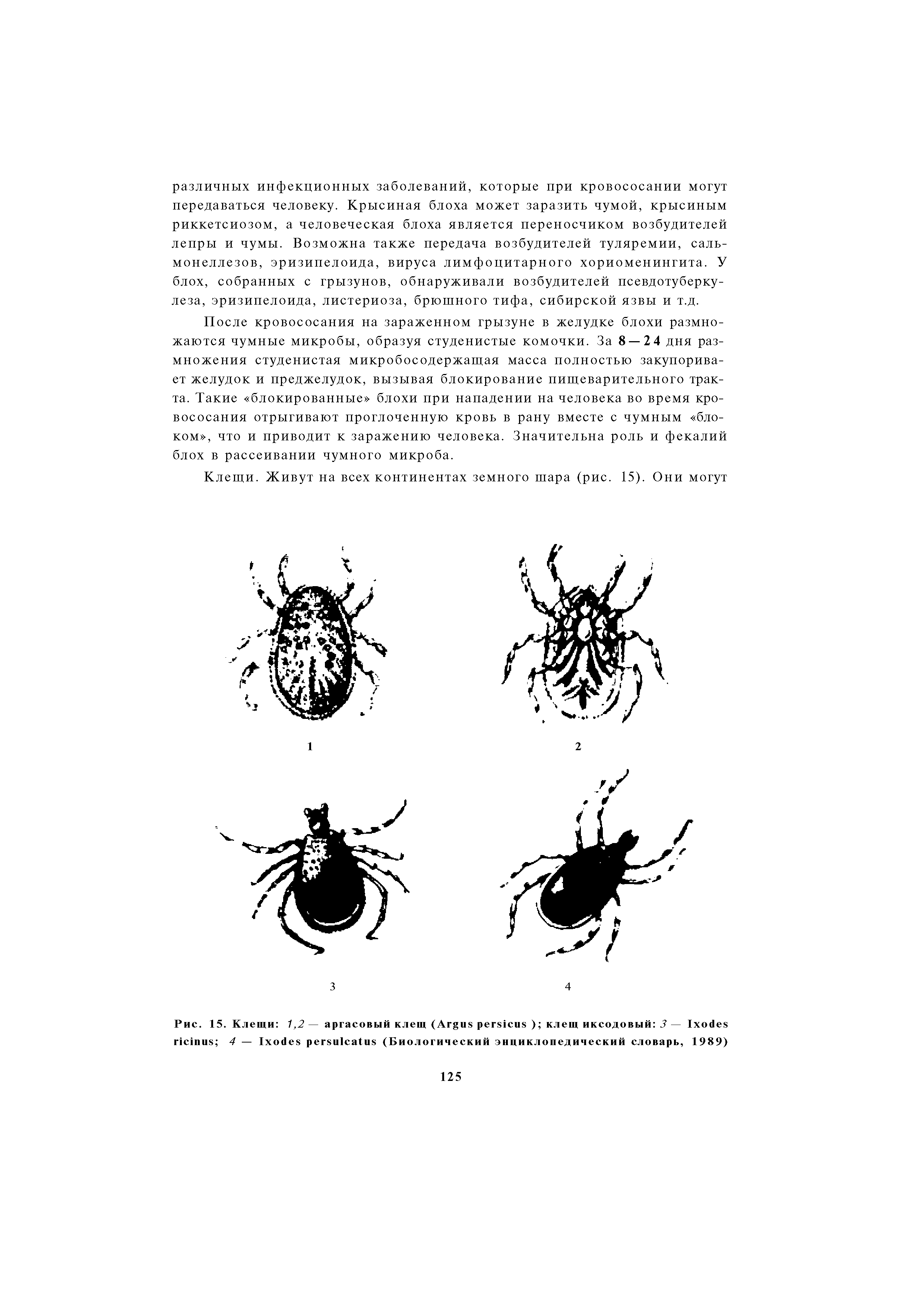 Рис. 15. Клещи 1,2 — аргасовый клещ (A ) клещ иксодовый 3 — I ...