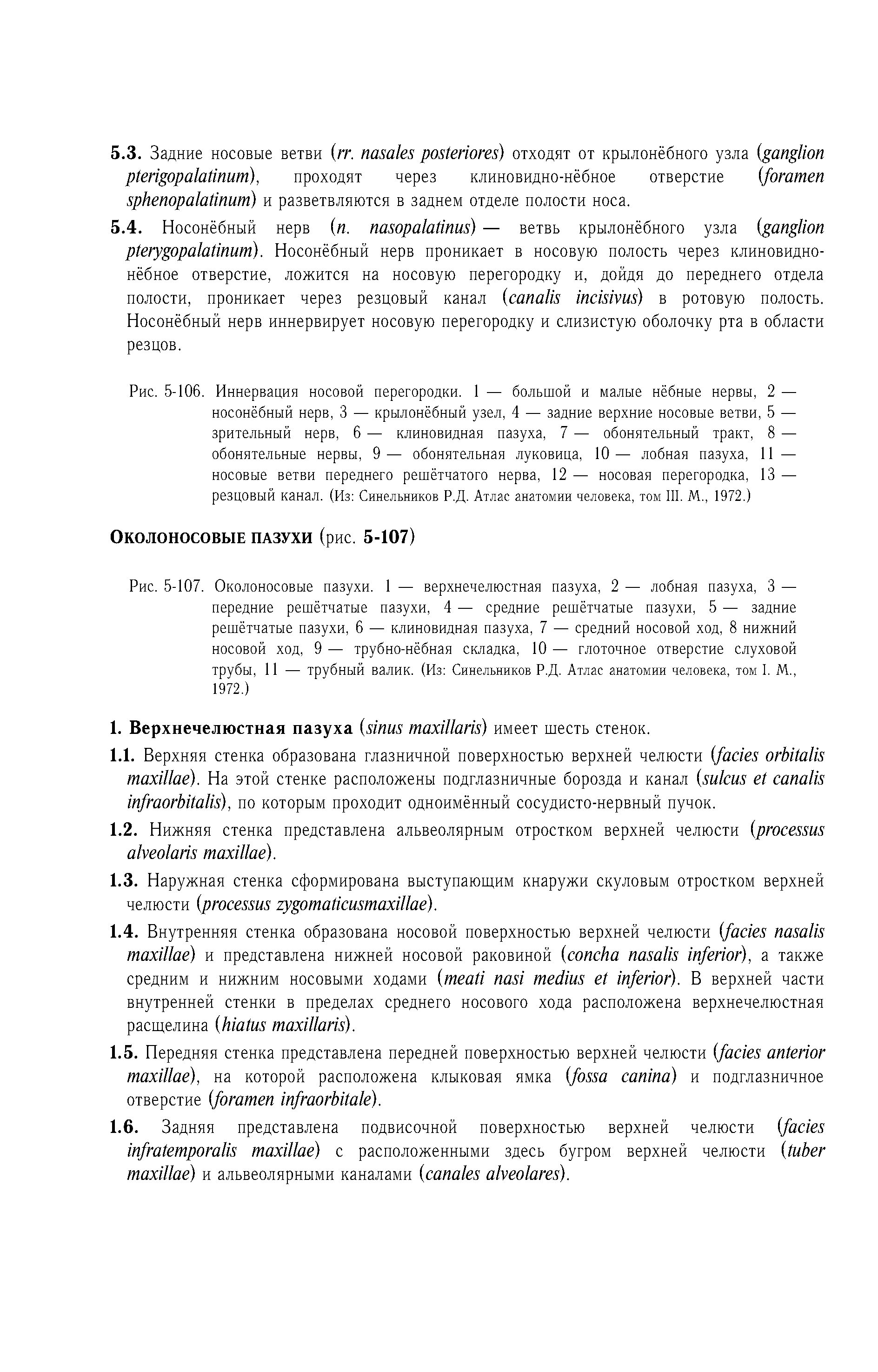 Рис. 5-107. Околоносовые пазухи. 1 — верхнечелюстная пазуха, 2 — лобная пазуха, 3 — передние решётчатые пазухи, 4 — средние решётчатые пазухи, 5 — задние решётчатые пазухи, 6 — клиновидная пазуха, 7 — средний носовой ход, 8 нижний носовой ход, 9 — трубно-нёбная складка, 10 — глоточное отверстие слуховой трубы, 11 — трубный валик. (Из Синельников Р.Д. Атлас анатомии человека, том I. М., 1972.)...