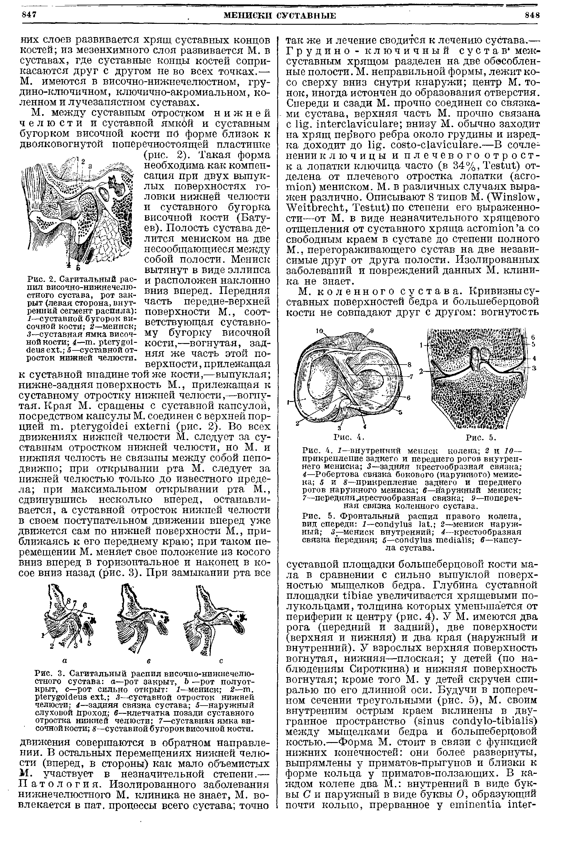 Рис. 3. Сагитальный распил височно-нижнечелюстного сустава а—рот закрыт, Ь —рот полуоткрыт, с—рот сильно открыт 1—мениск 2—т. . л—суставной отросток нижней челюсти 4—задняя связка сустава 5—наружный слуховой Проход, 6—клетчатка позади суставного отростка нижней челюсти 7—суставная ямка височной кости —суставной бугорок височной кости.