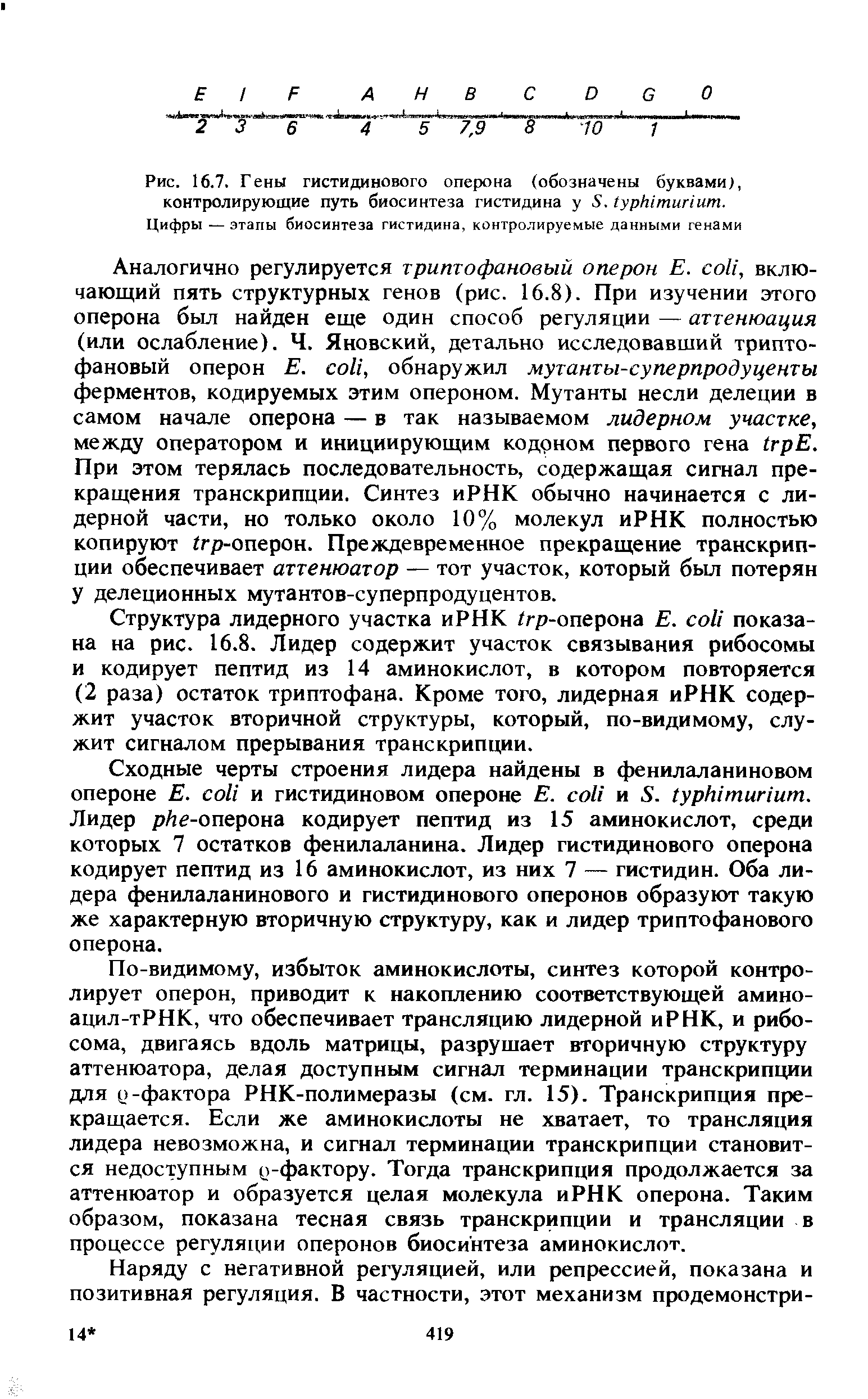 Рис. 16.7. Гены гистидинового оперона (обозначены буквами), контролирующие путь биосинтеза гистидина у 5. .