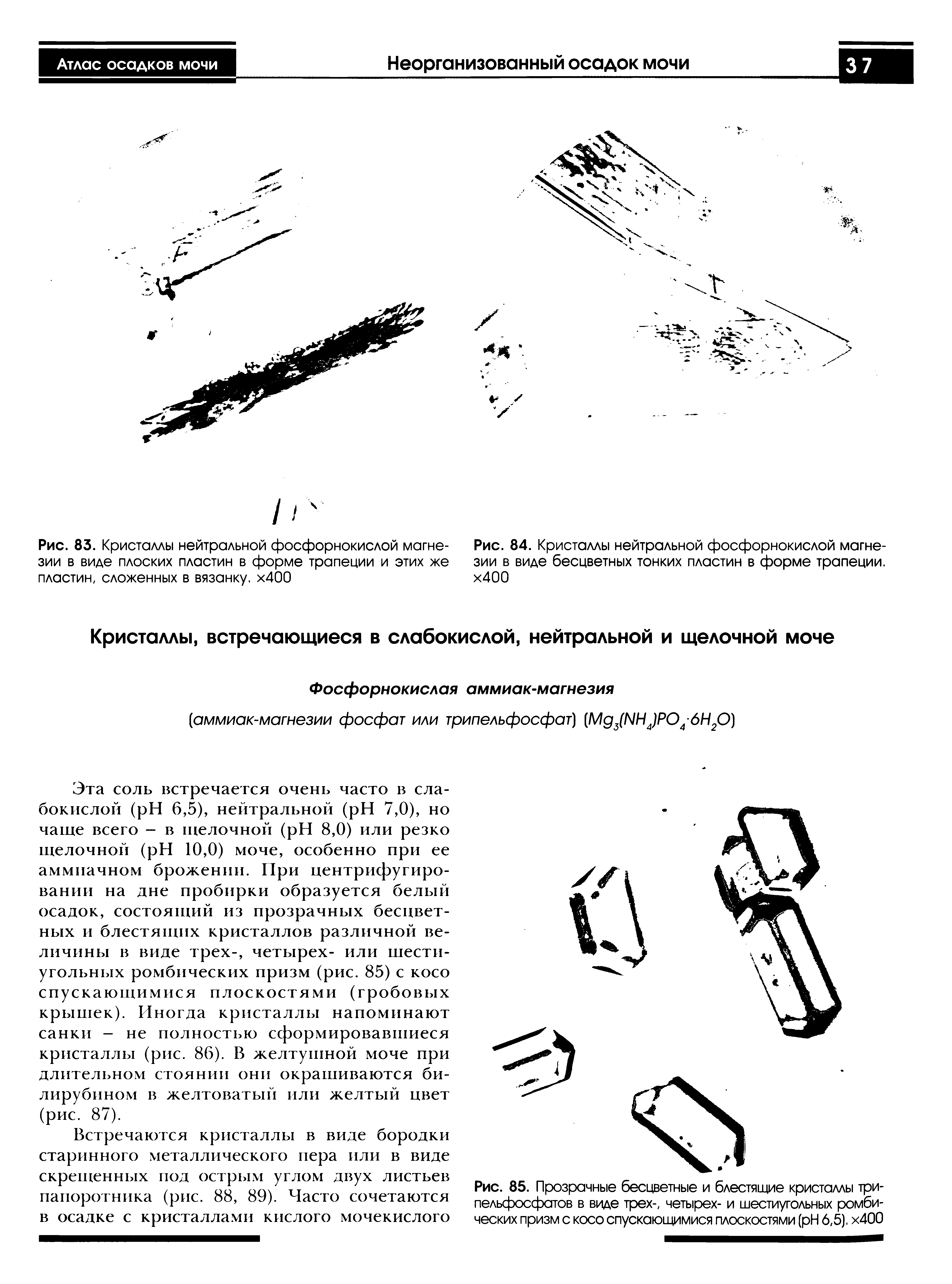 Рис. 85. Прозрачные бесцветные и блестящие кристаллы три-пельфосфатов в виде трех-, четырех- и шестиугольных ромбических призм с косо спускающимися плоскостями ( H 6,5). х400...